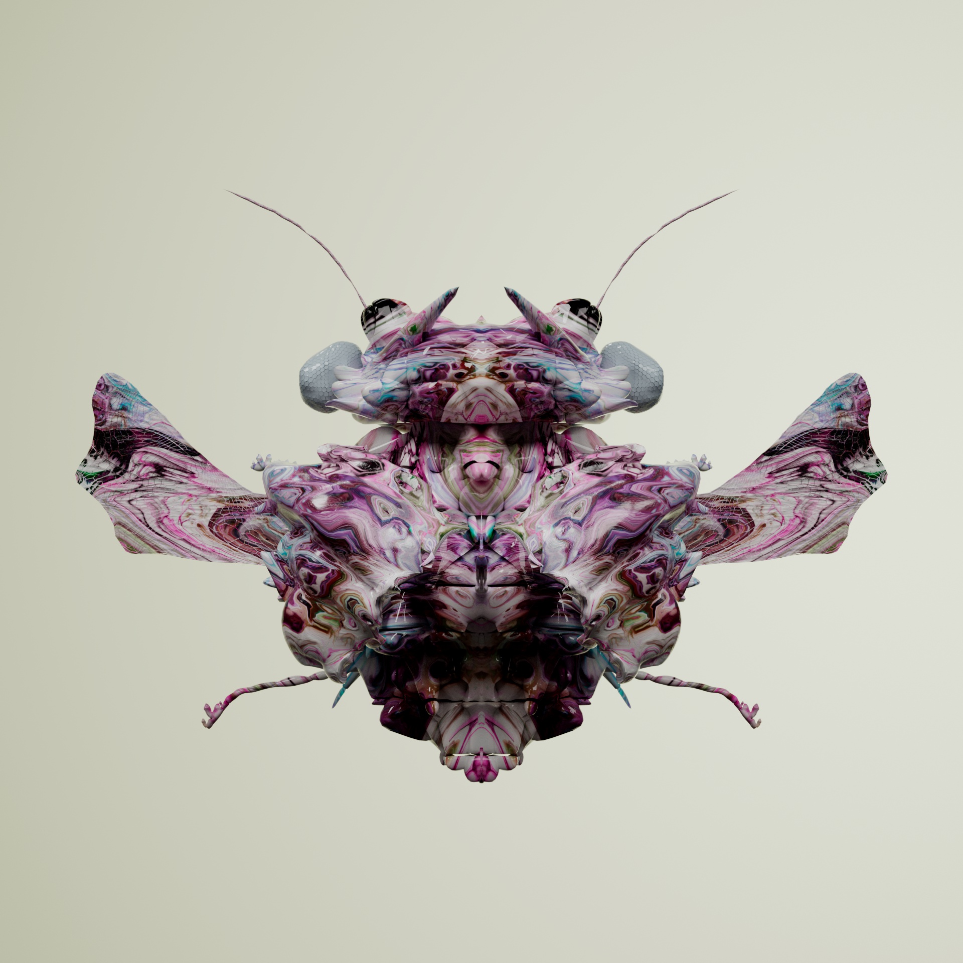 Coleopteravivida indiatus