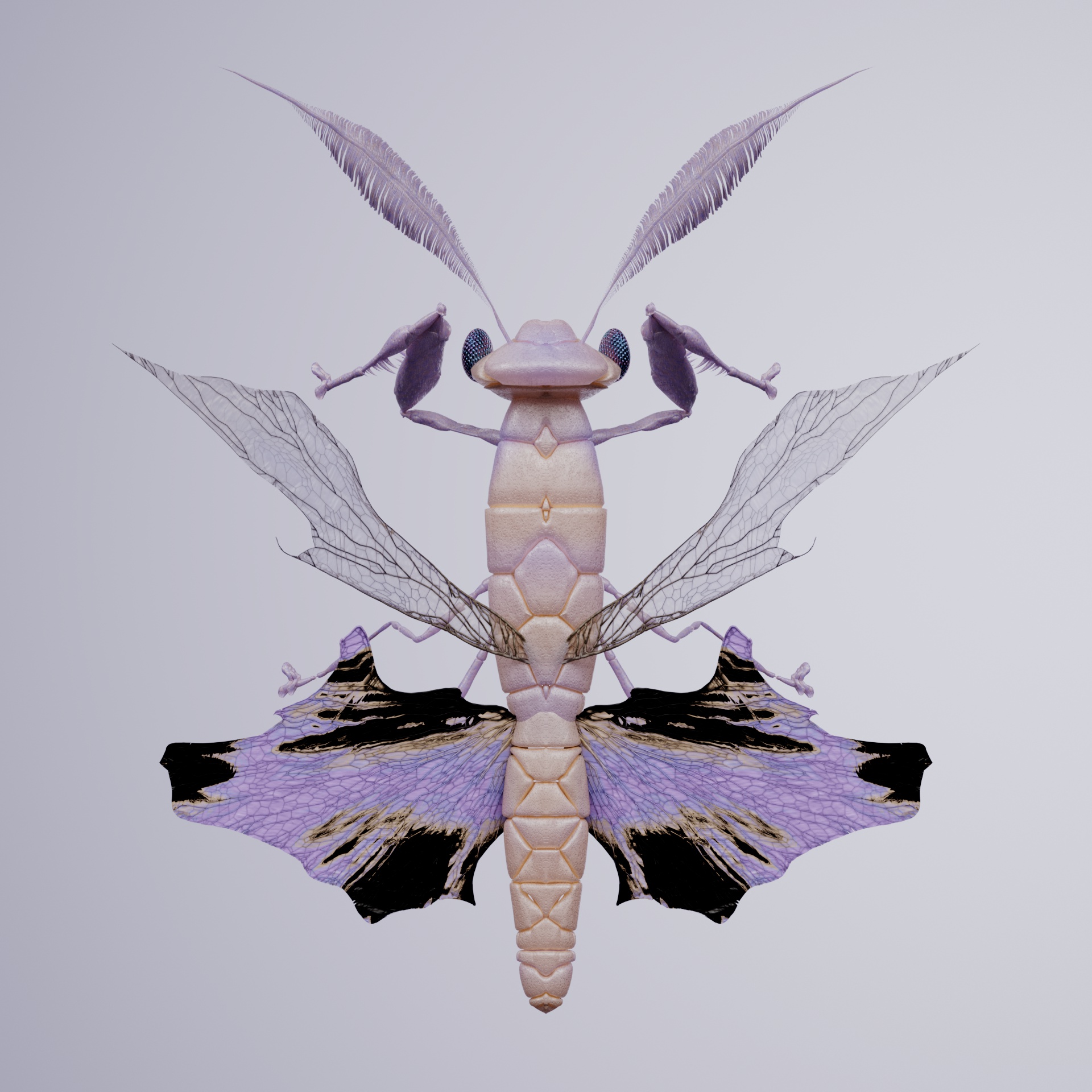 Mantodeailotis europactyla