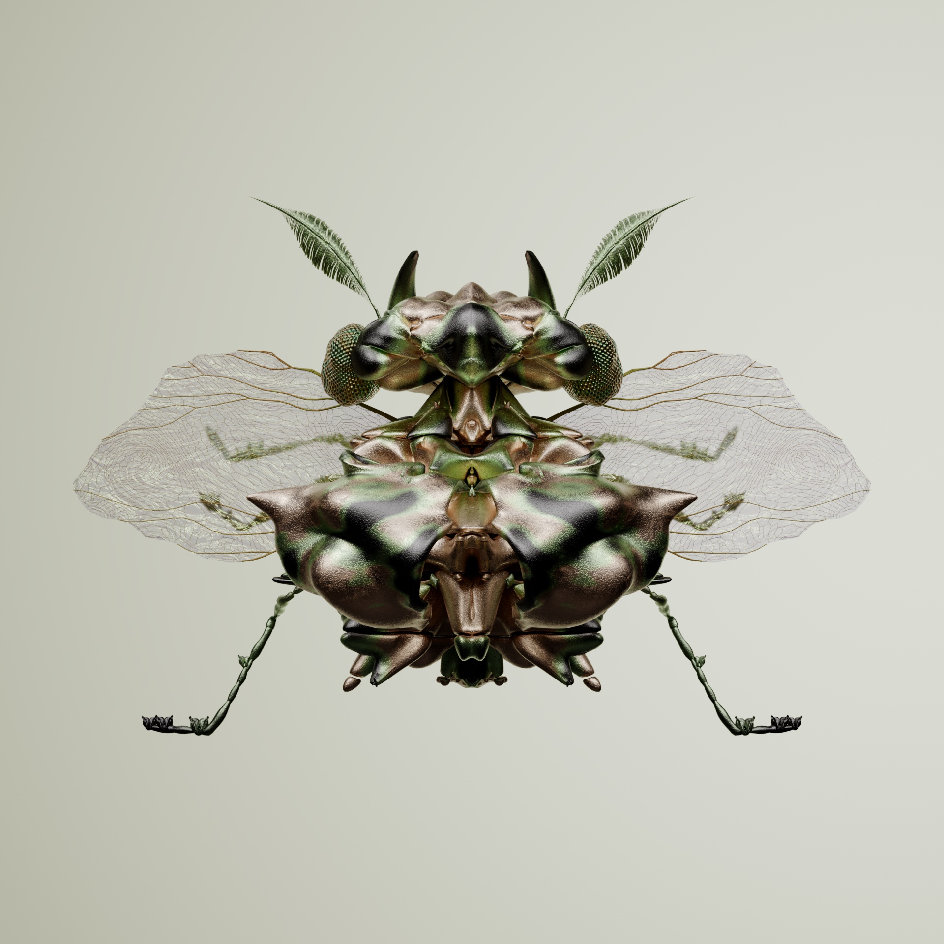 Coleopteracerritulus simurnix