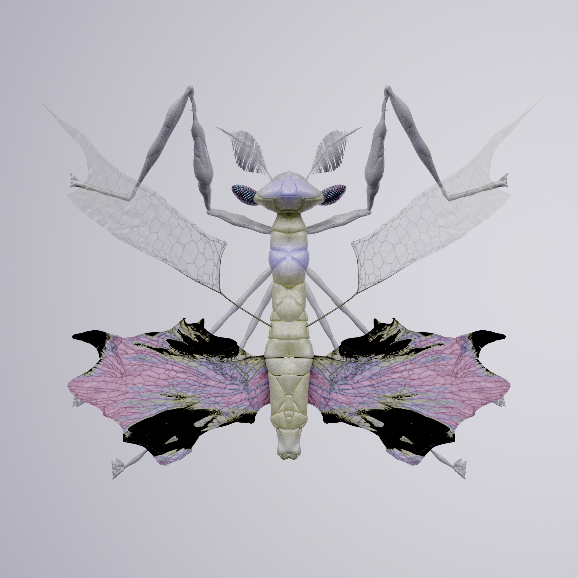Mantodeaopex strepsotata