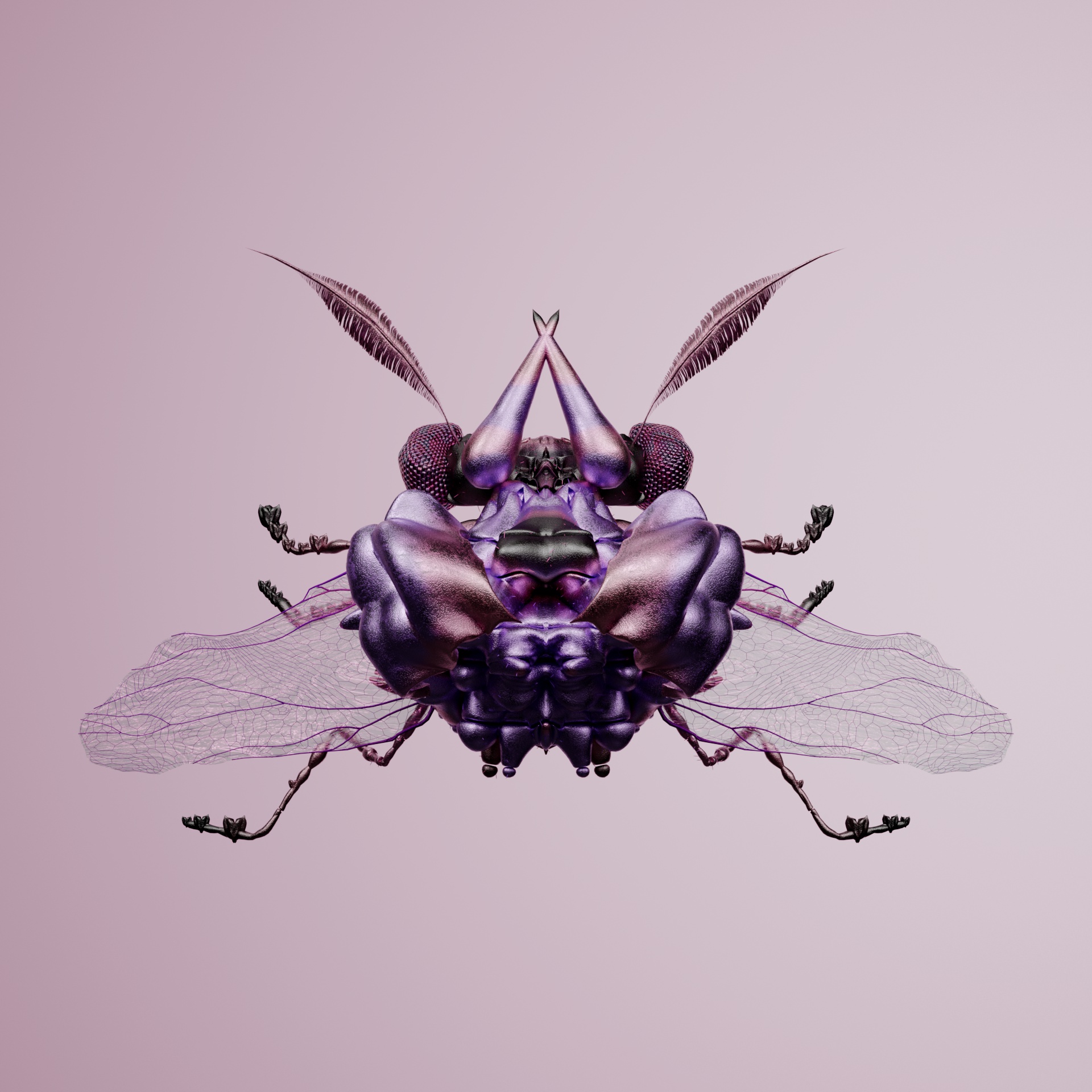 Coleopteraopoda brachonicus