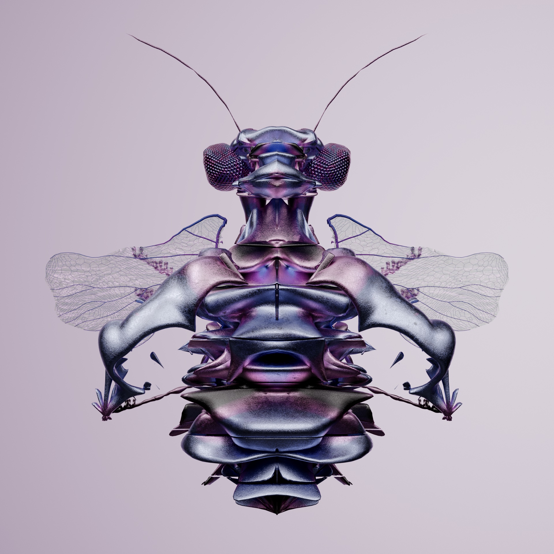 Coleopteracerritulus capucereri