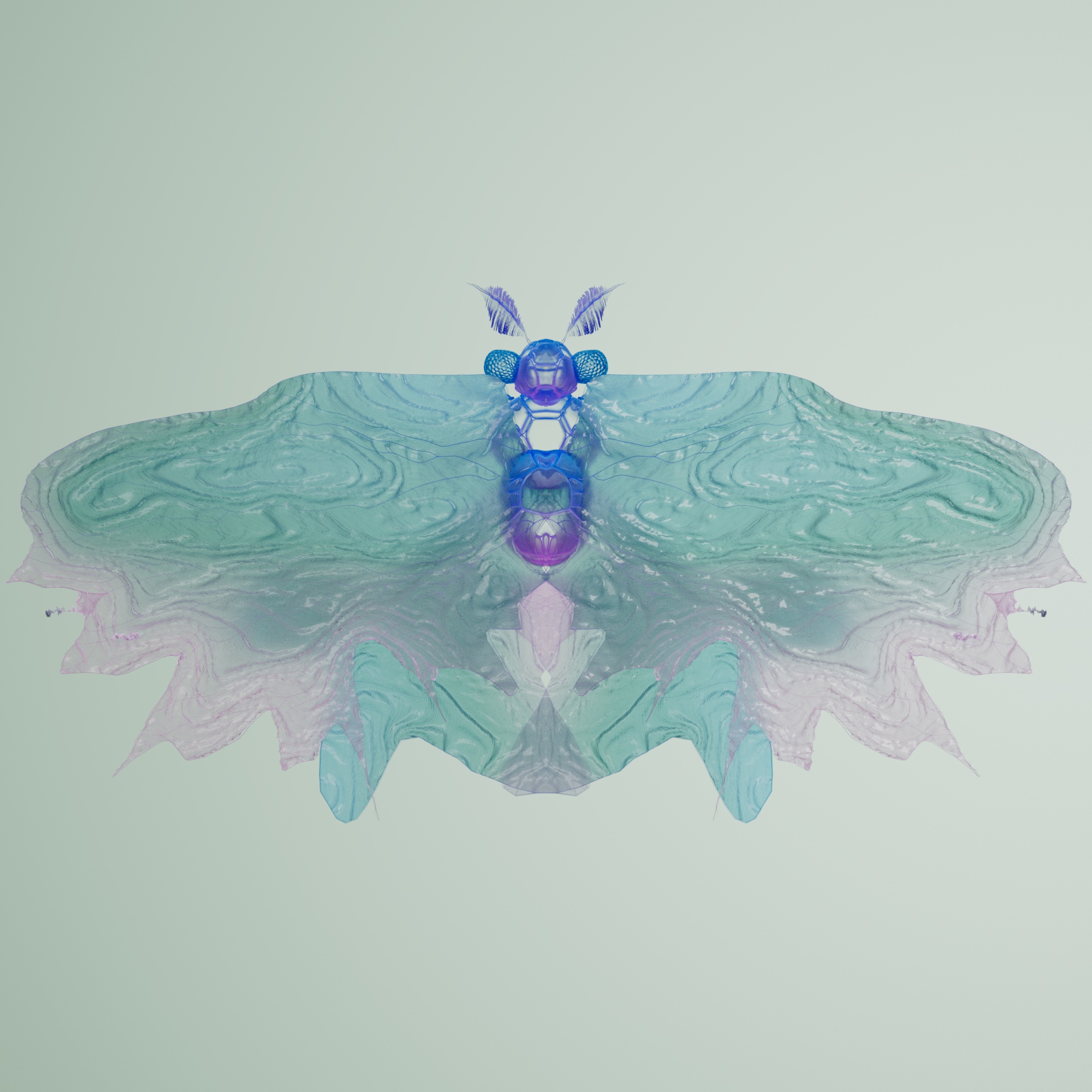 Lepidopteracerritulus larvica
