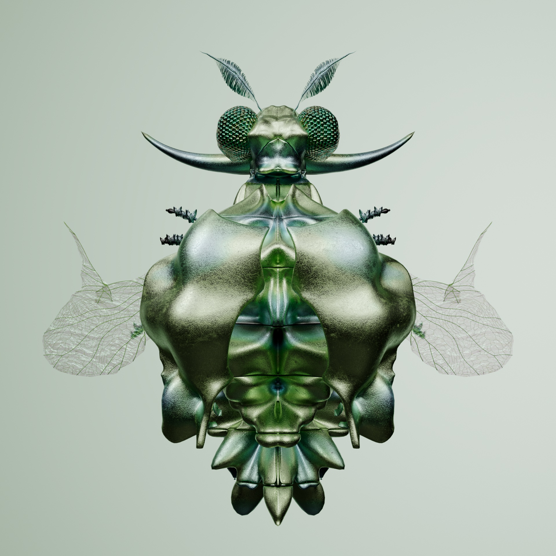 Coleopteracerritulus nodalia