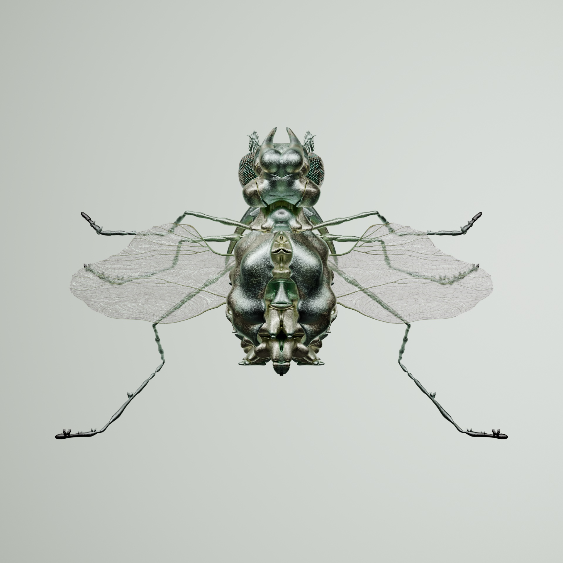 Coleopteraida rupicaspis