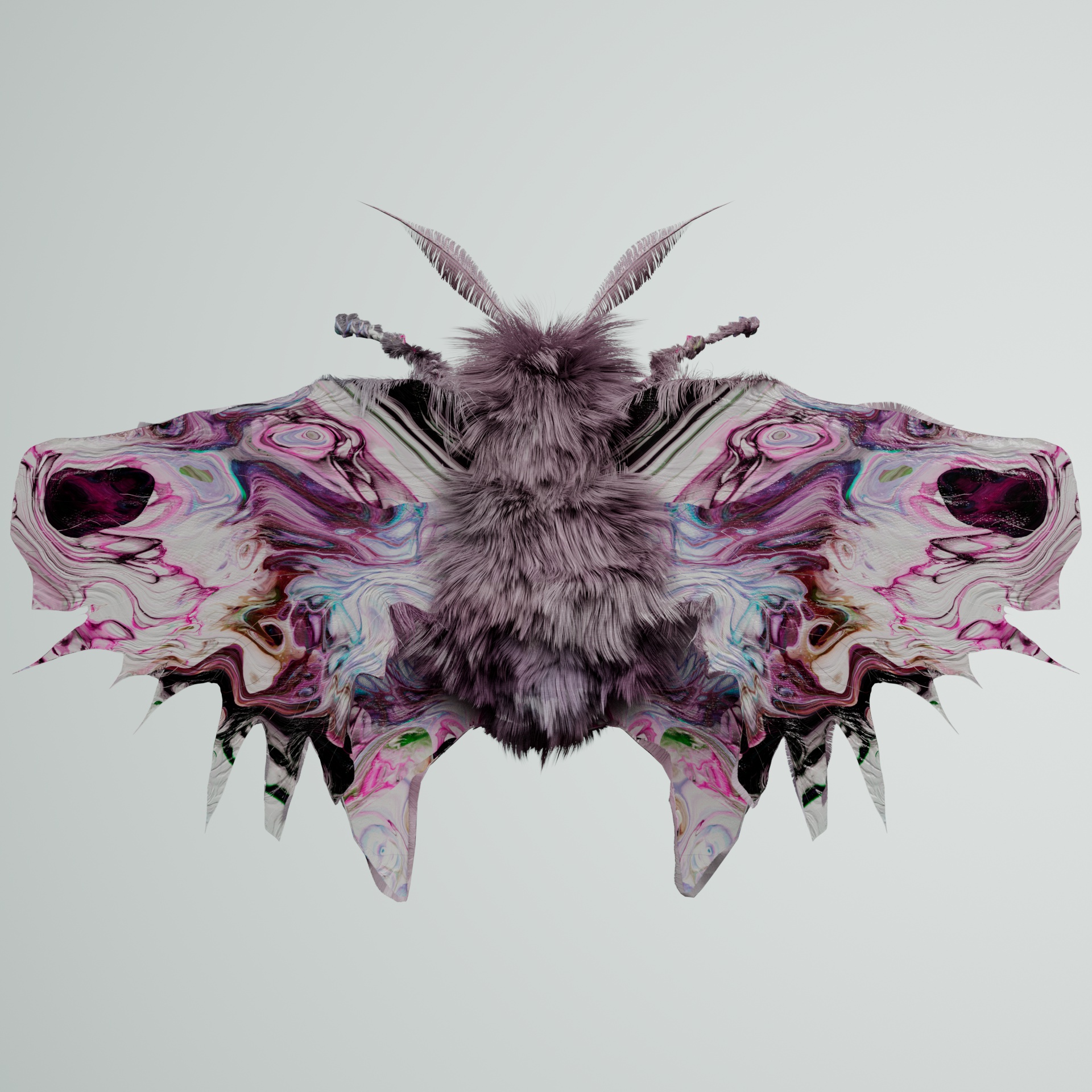 Lepidopteravivida reticeria