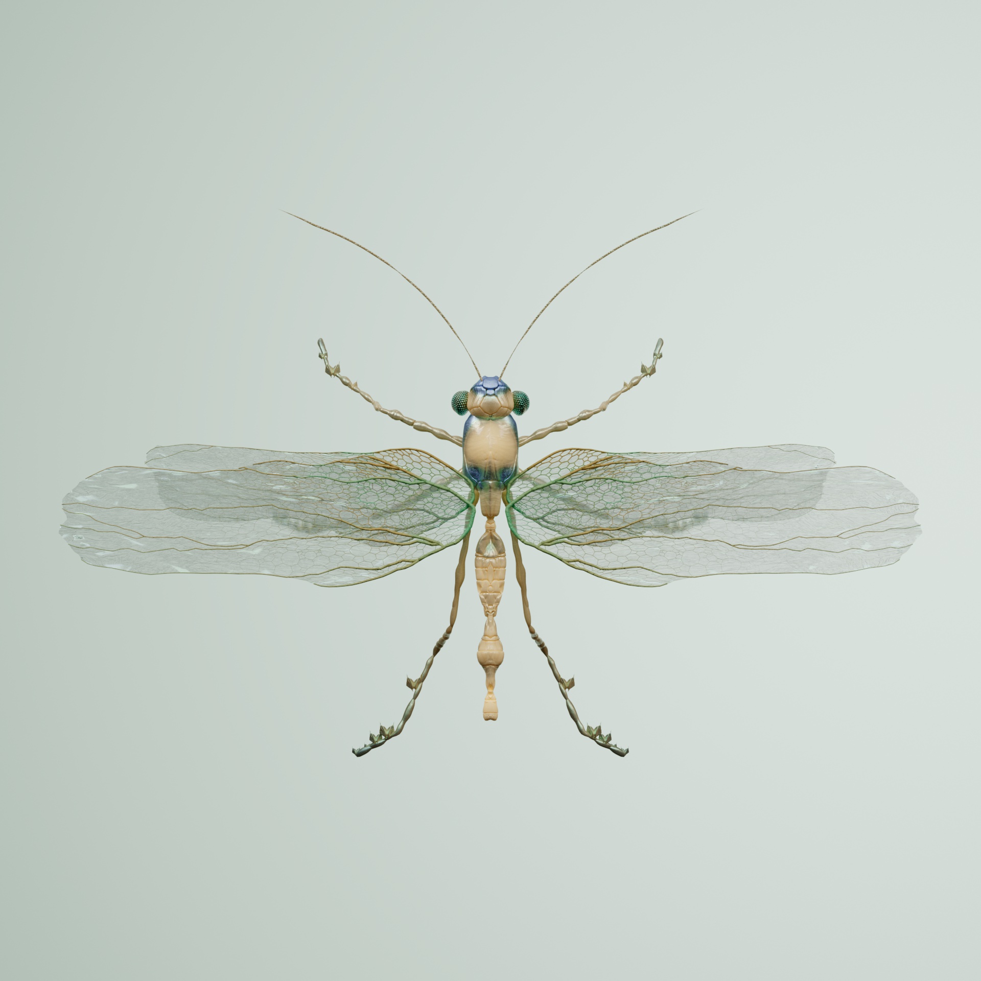 Anisopteravivida hydrochizii