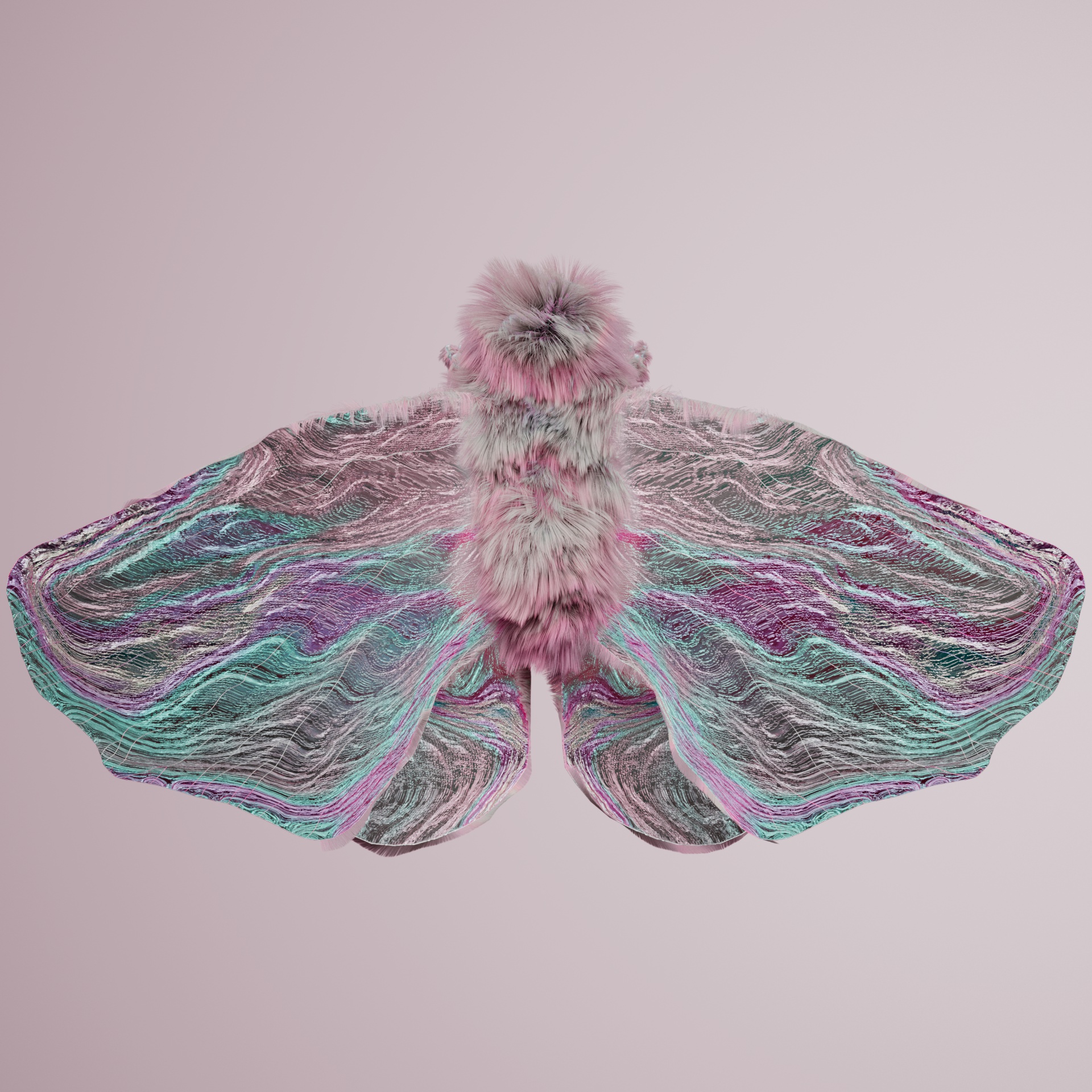 Lepidopteravivida capucereri