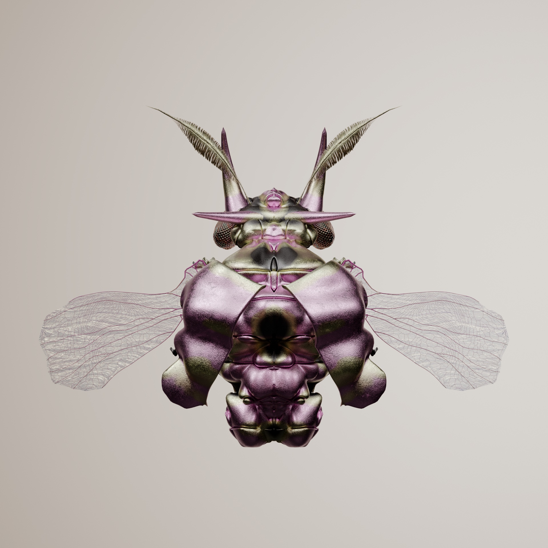 Coleopteraynchus physinii