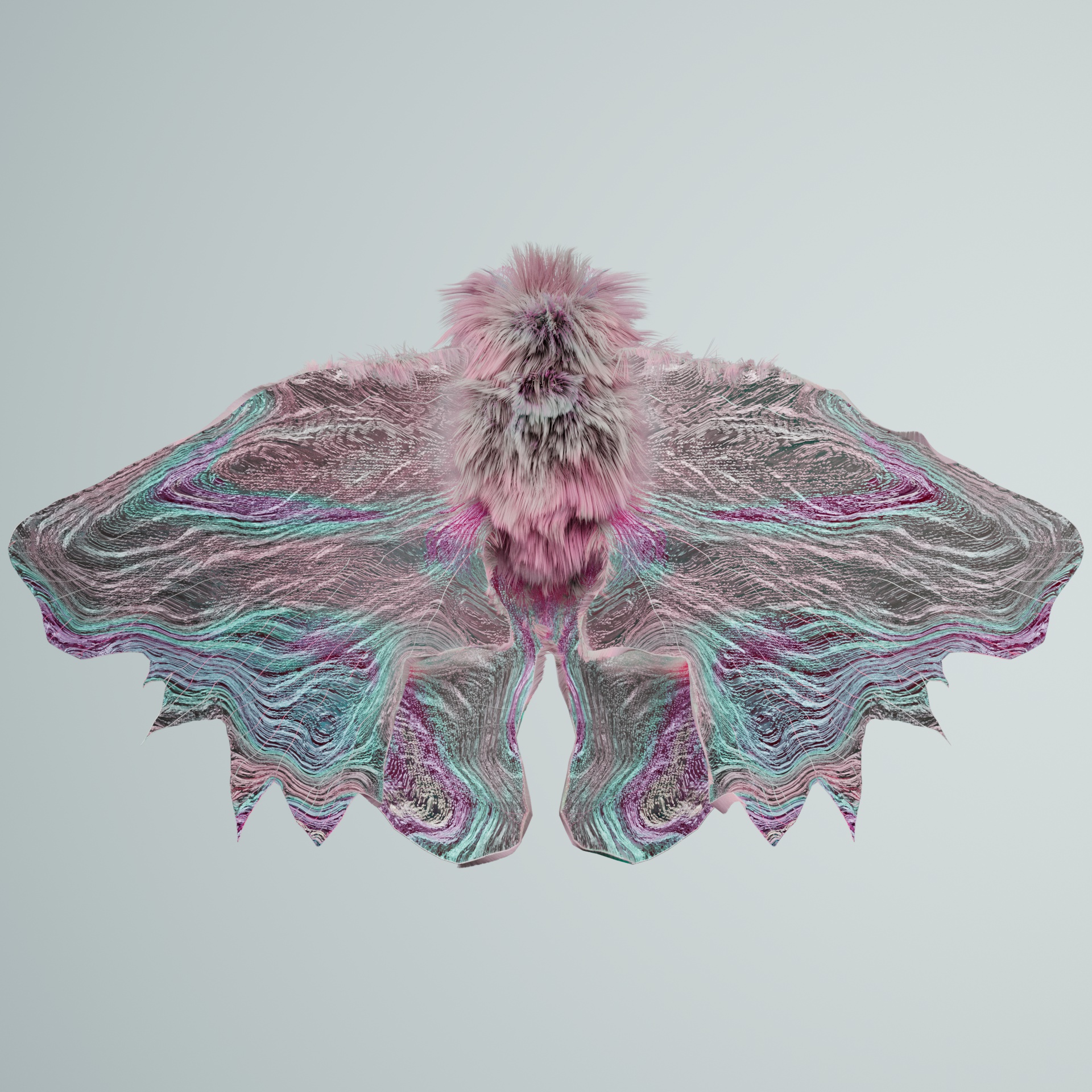 Lepidopteravivida brachostris