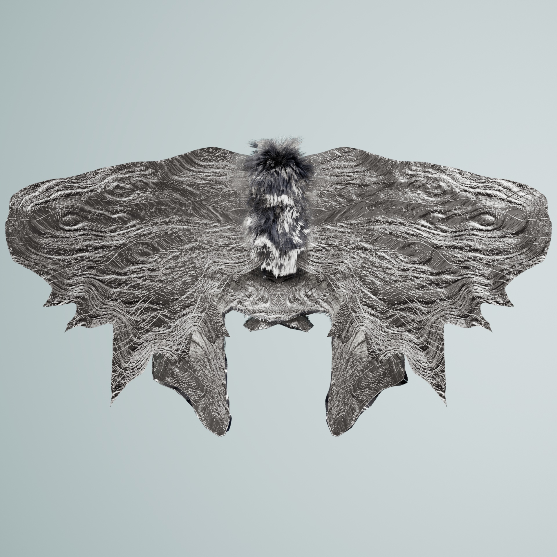 Lepidopterailla albivensis