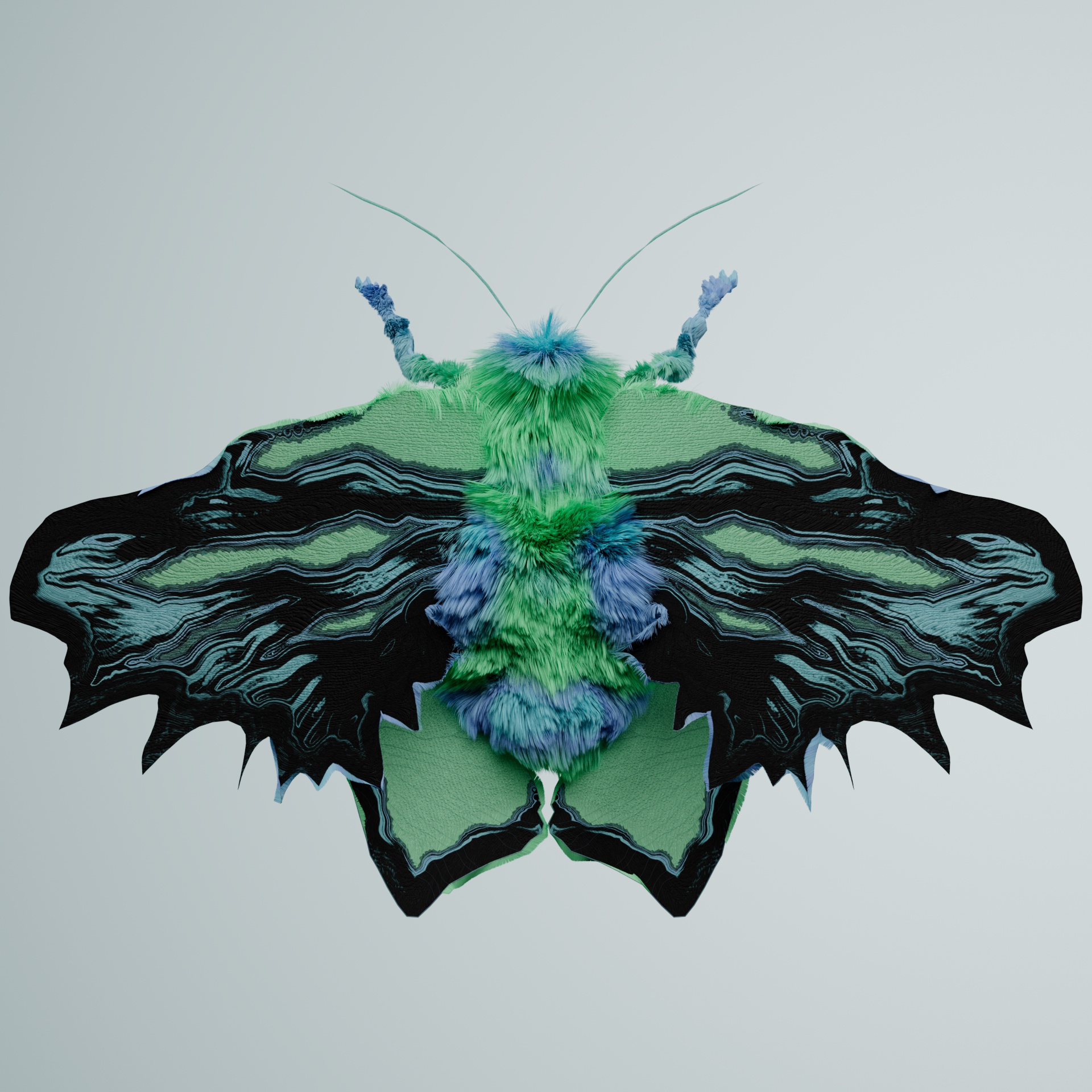 Lepidopteracerritulus diphofa