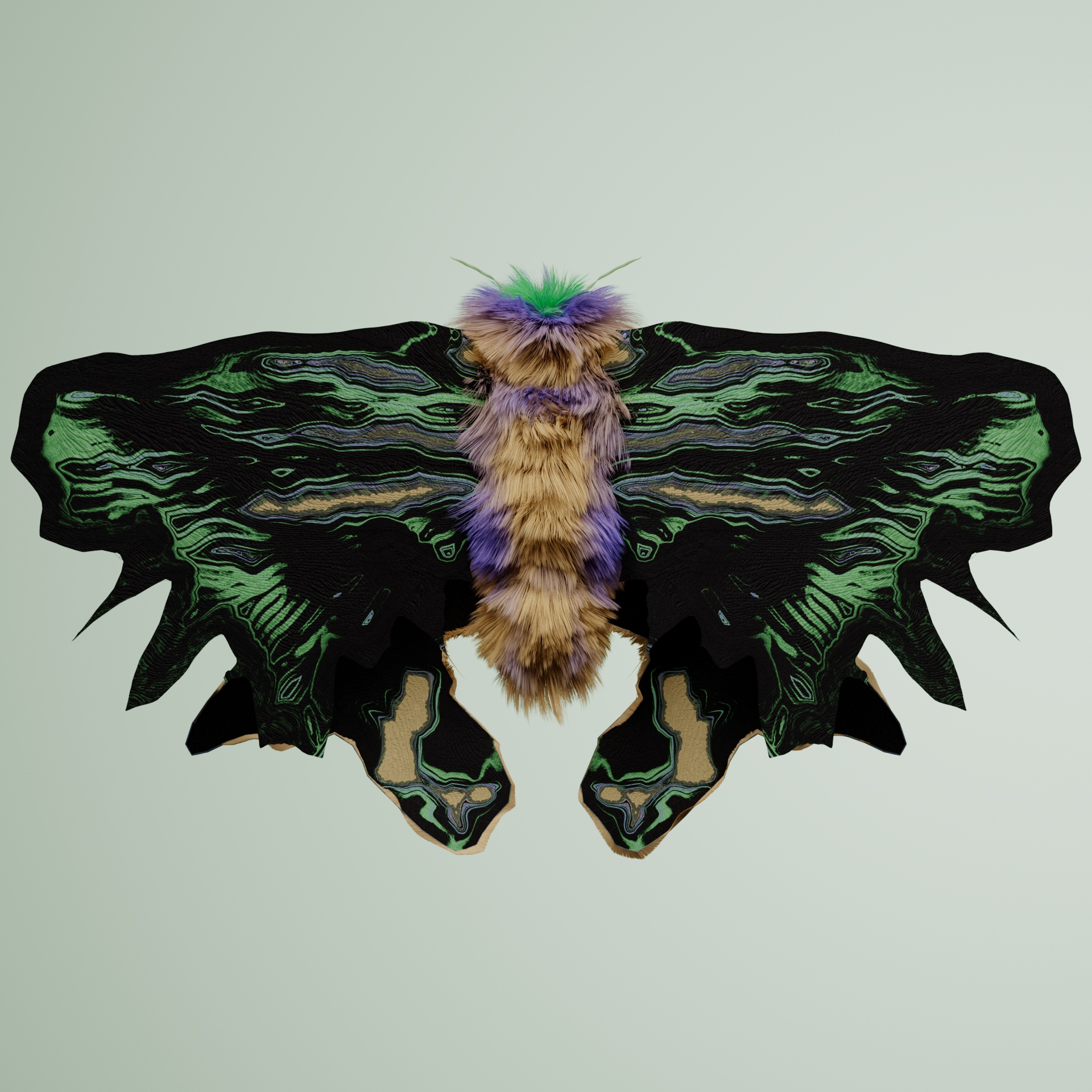 Lepidopteracerritulus bintone