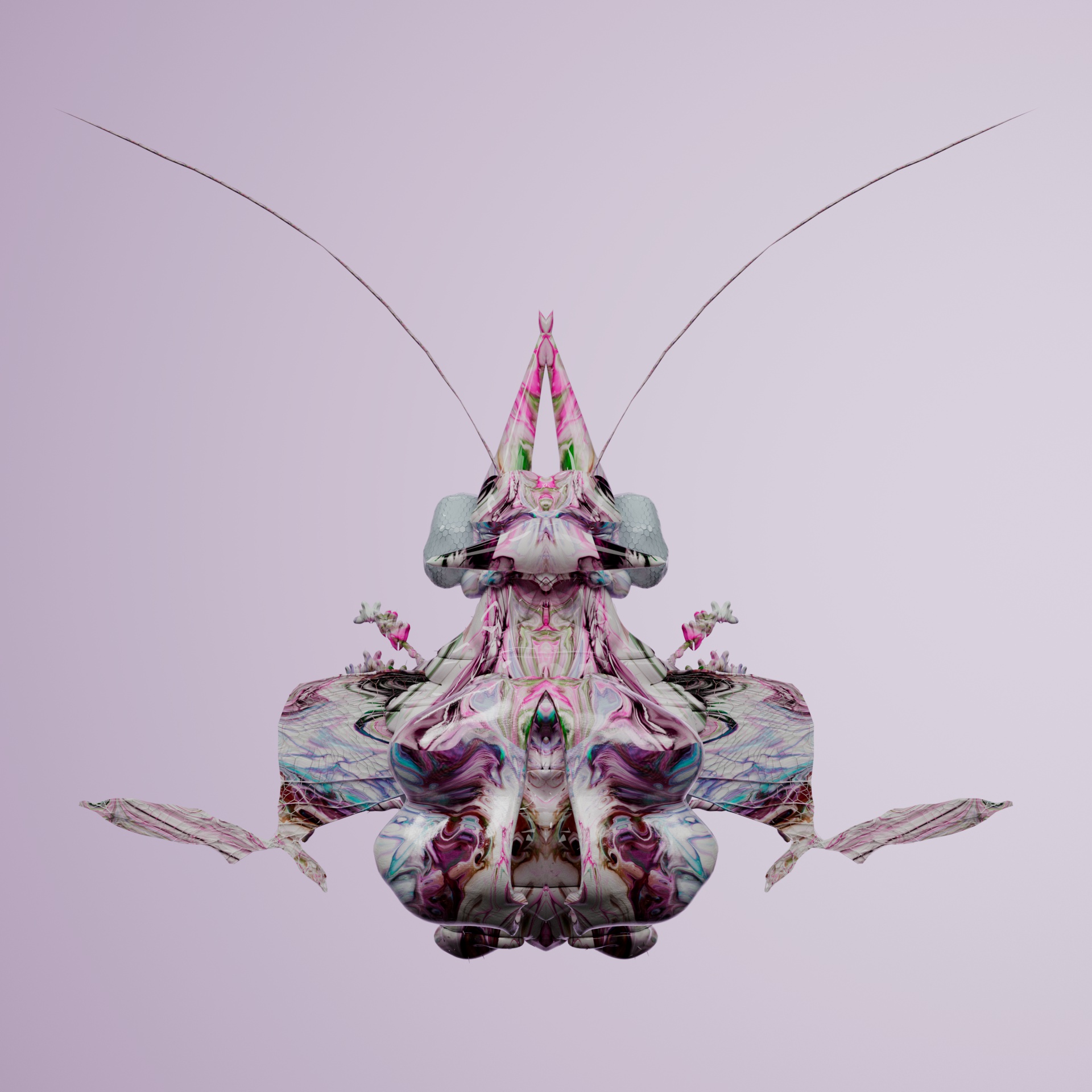 Coleopteravivida oncisii
