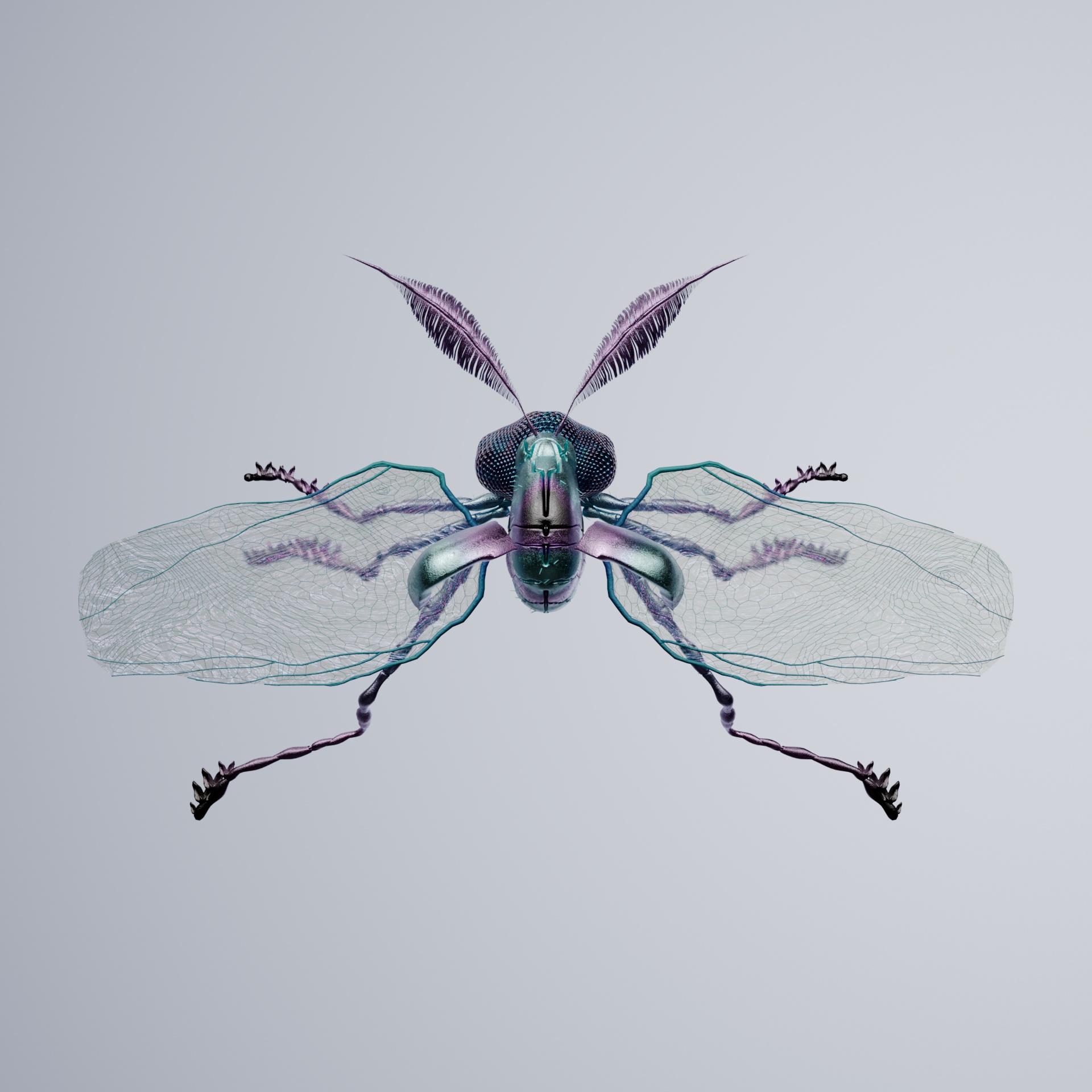 Coleopteraurus tigriosa
