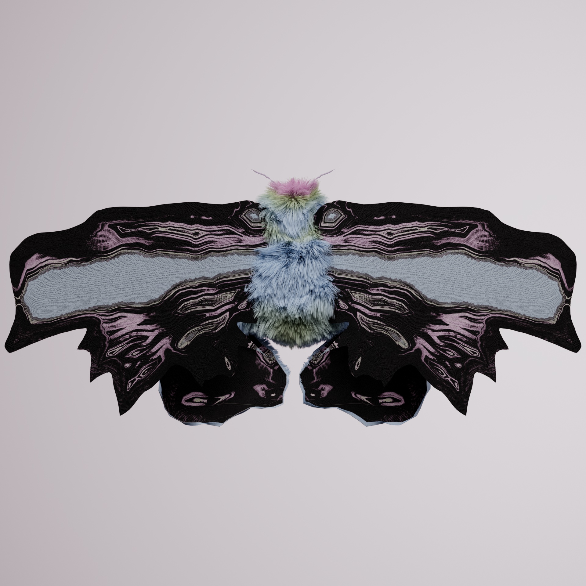 Lepidopteracerritulus johnstoleuca