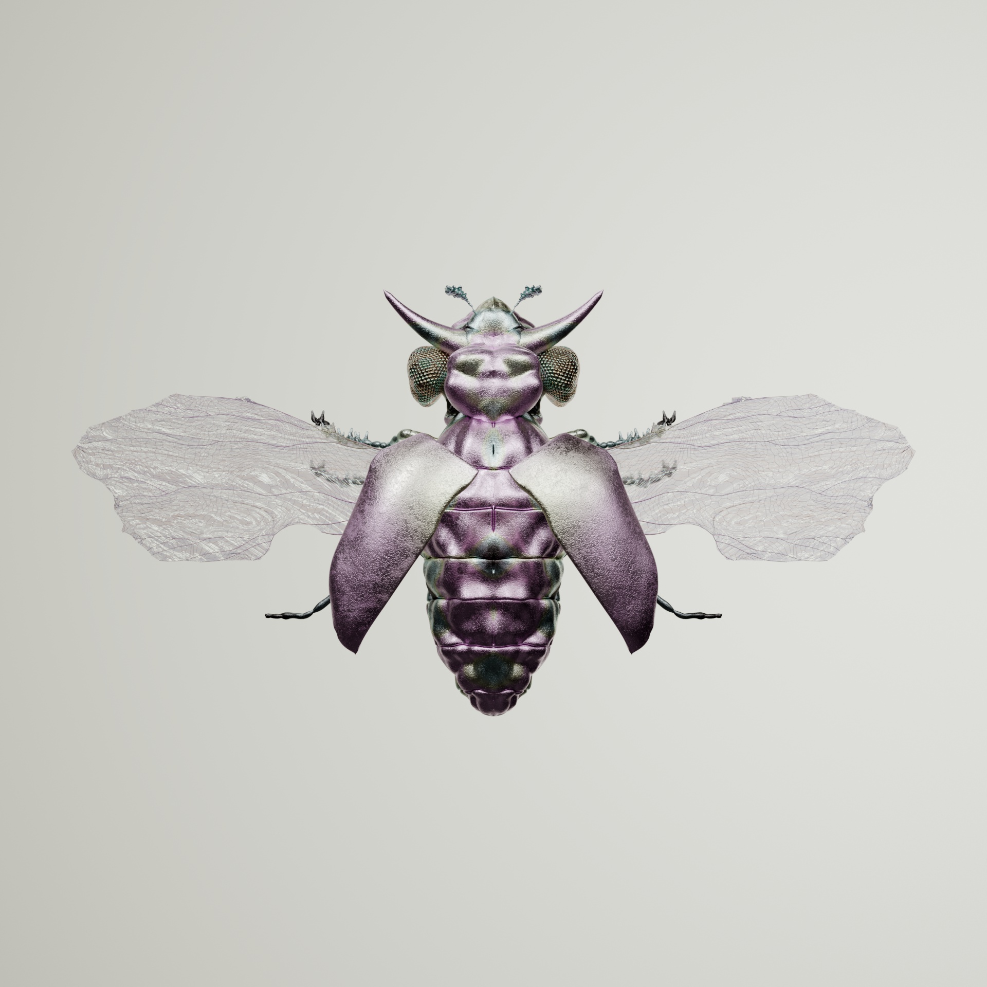 Coleopteraormes minonyx