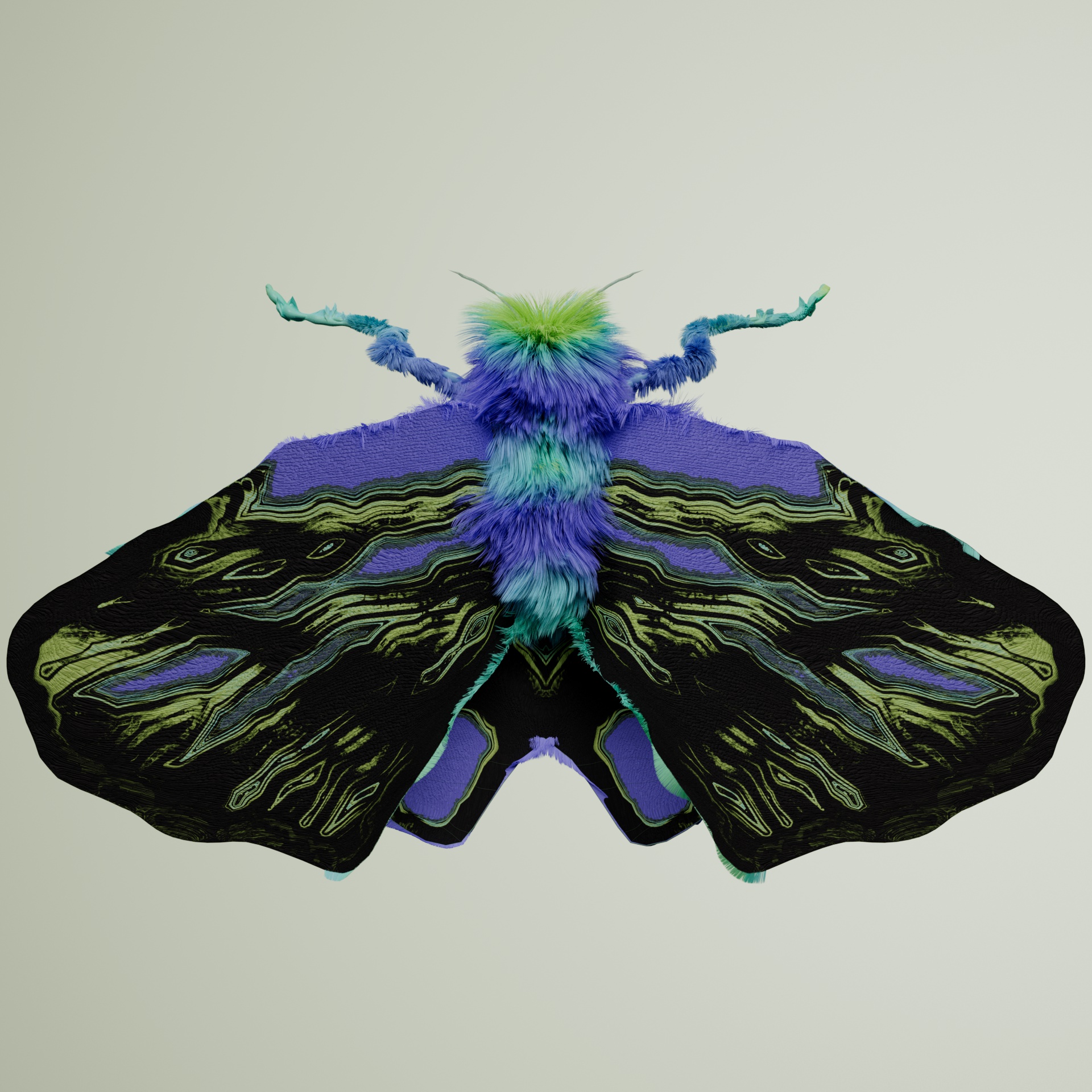 Lepidopterailia unicina