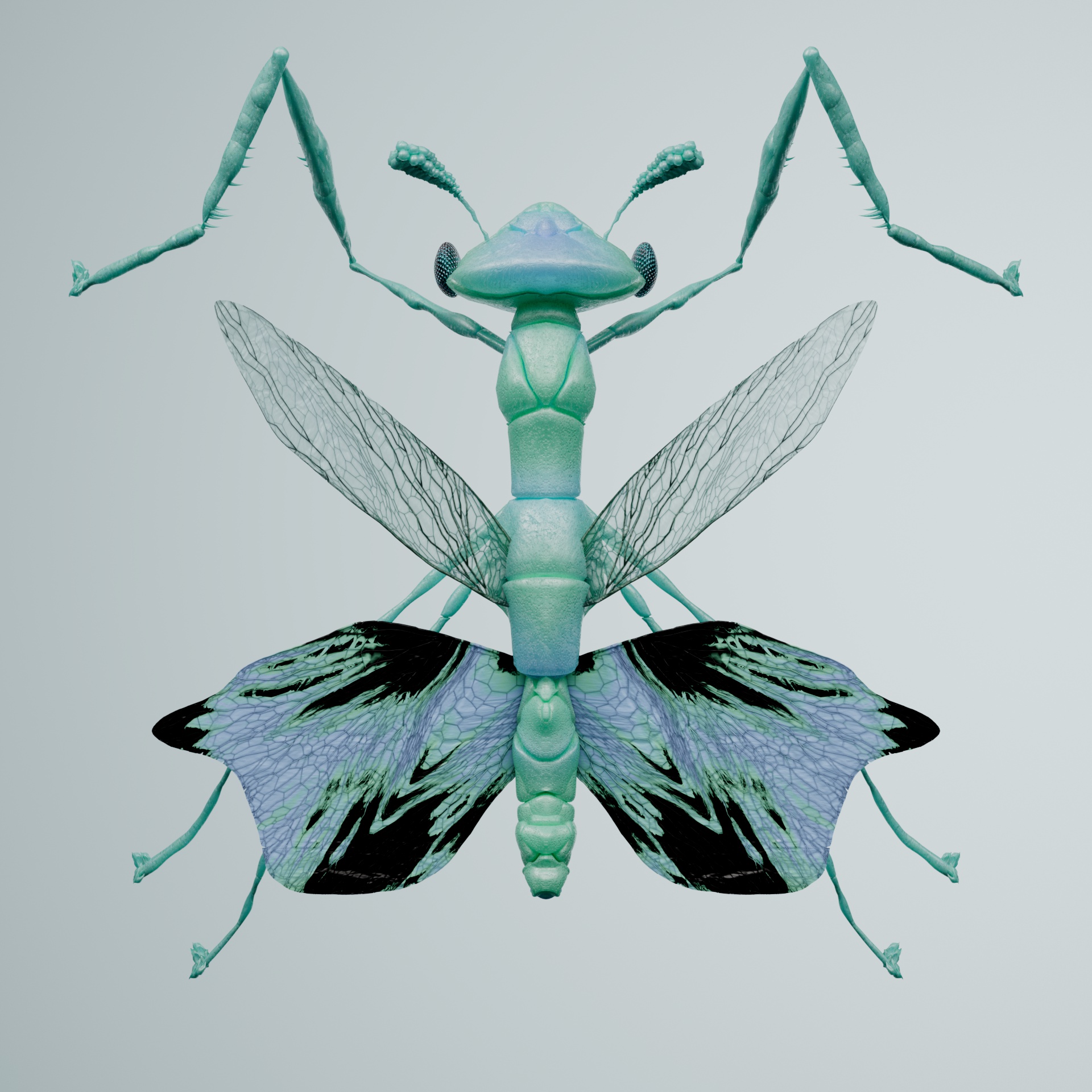 Mantodeaotidae civardalis