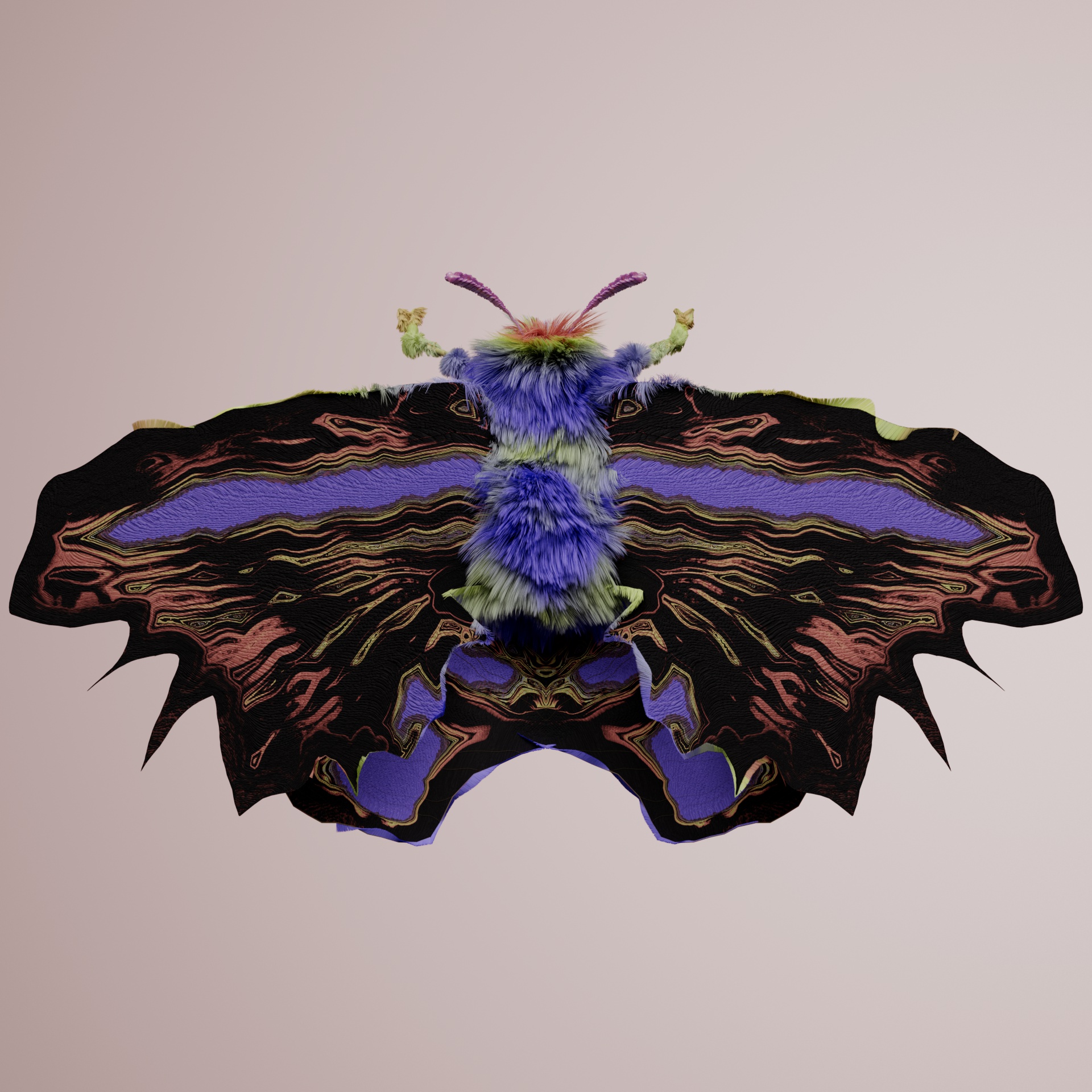 Lepidopteracerritulus nattias