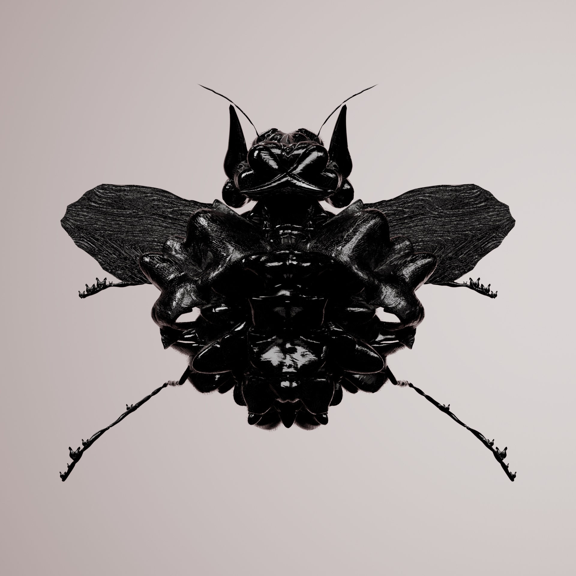 Coleopteracerritulus palmephalus