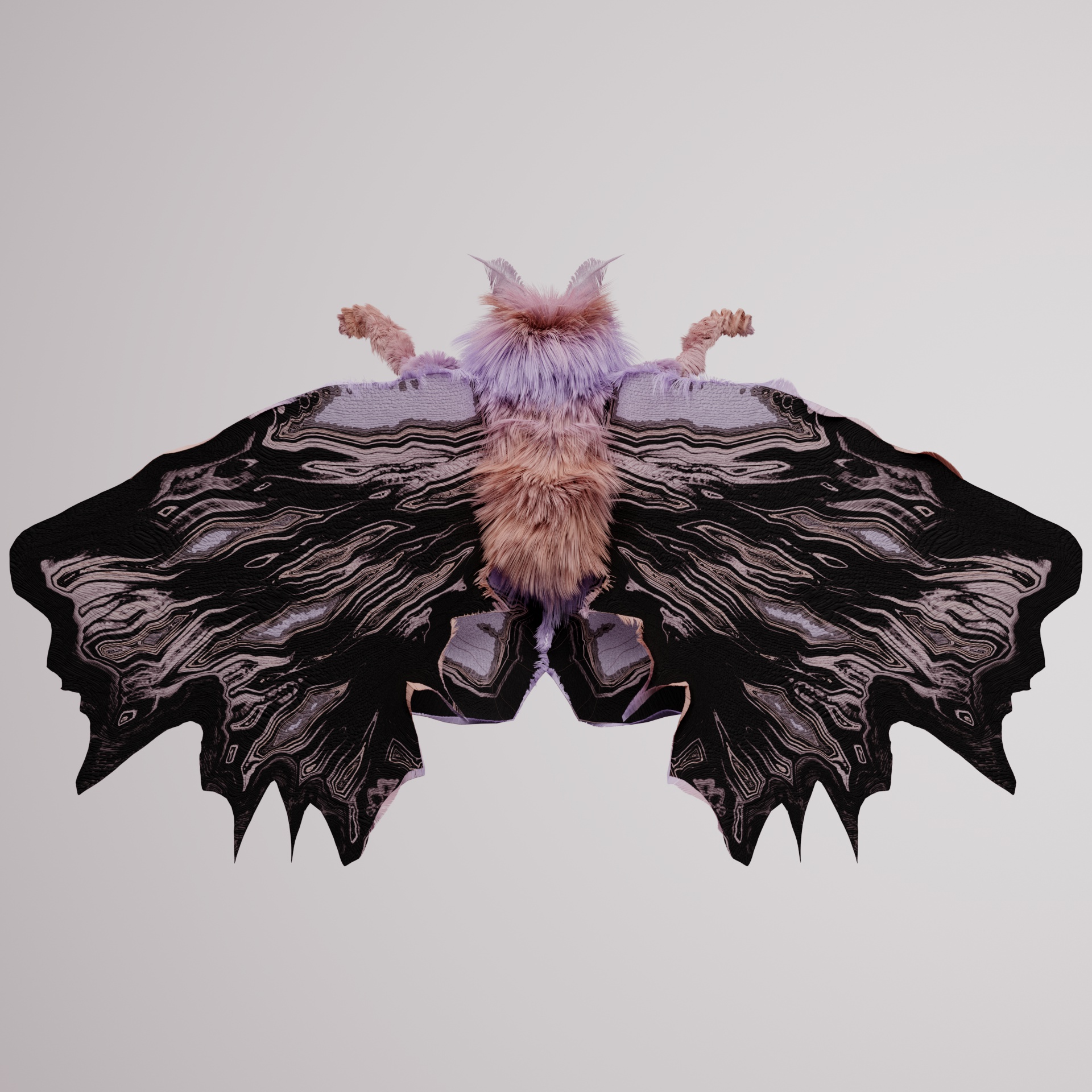 Lepidopteraophaga grauerues