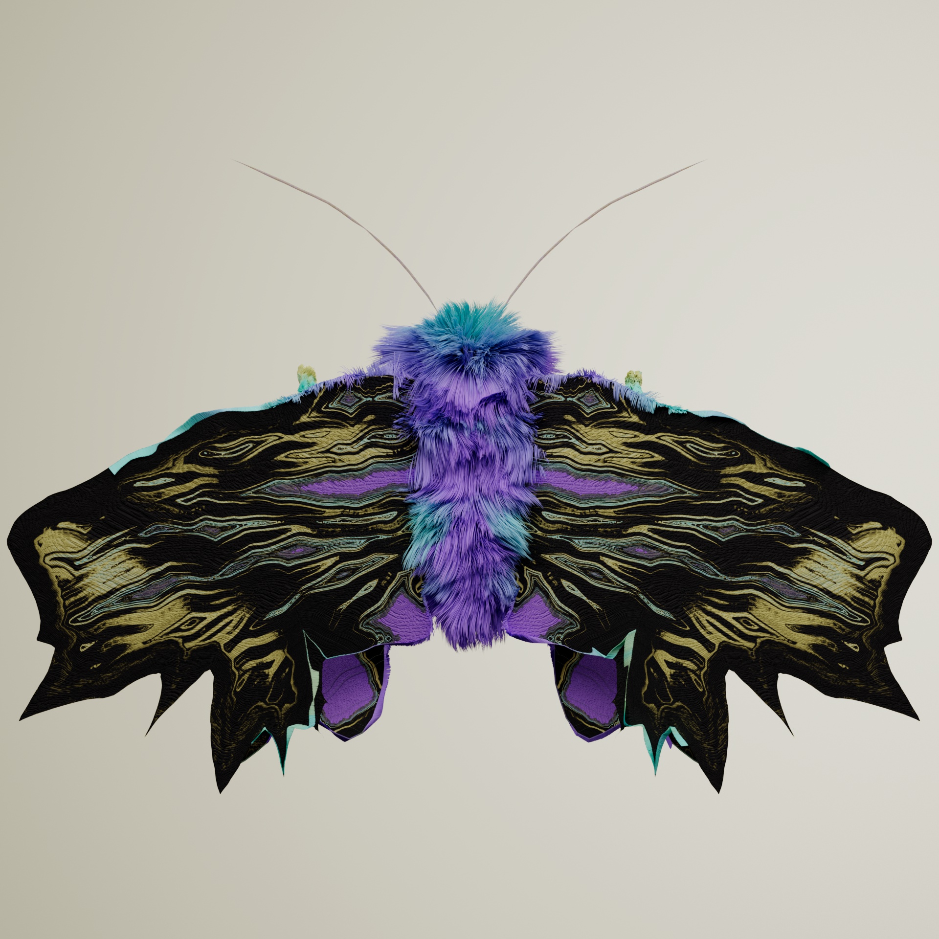 Lepidopteraproceritas gallani