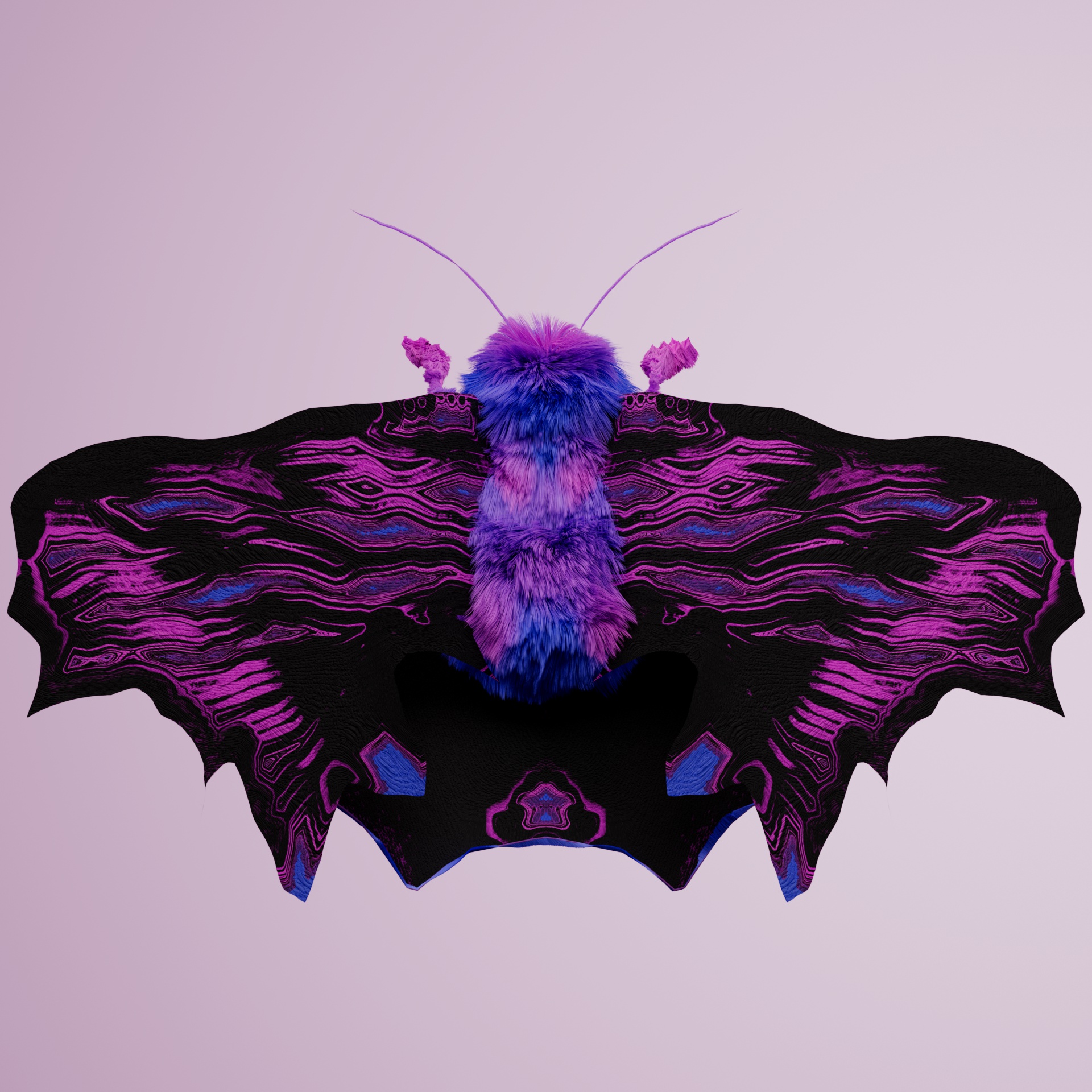 Lepidopteracerritulus larvayanus