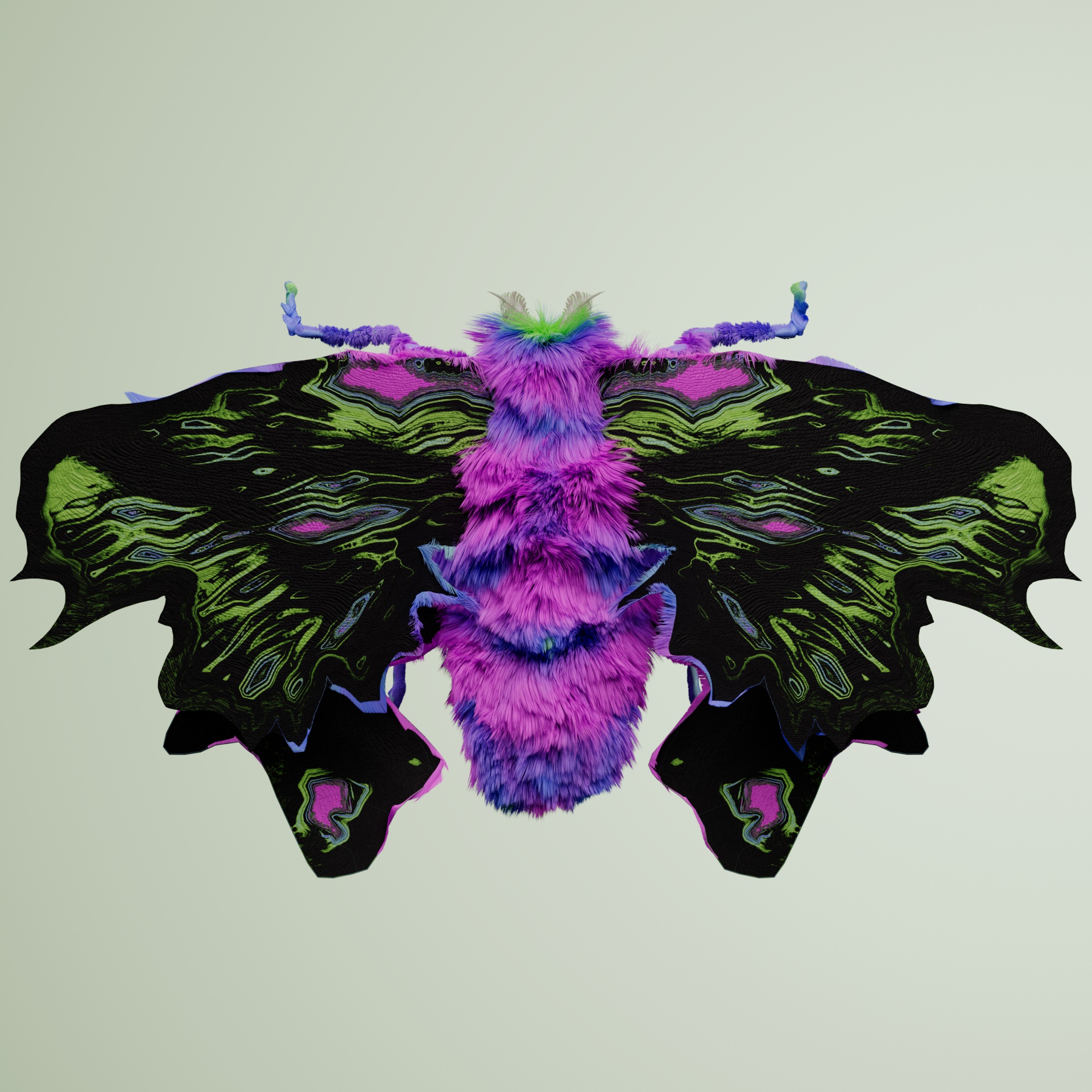 Lepidopterapinguis panellus