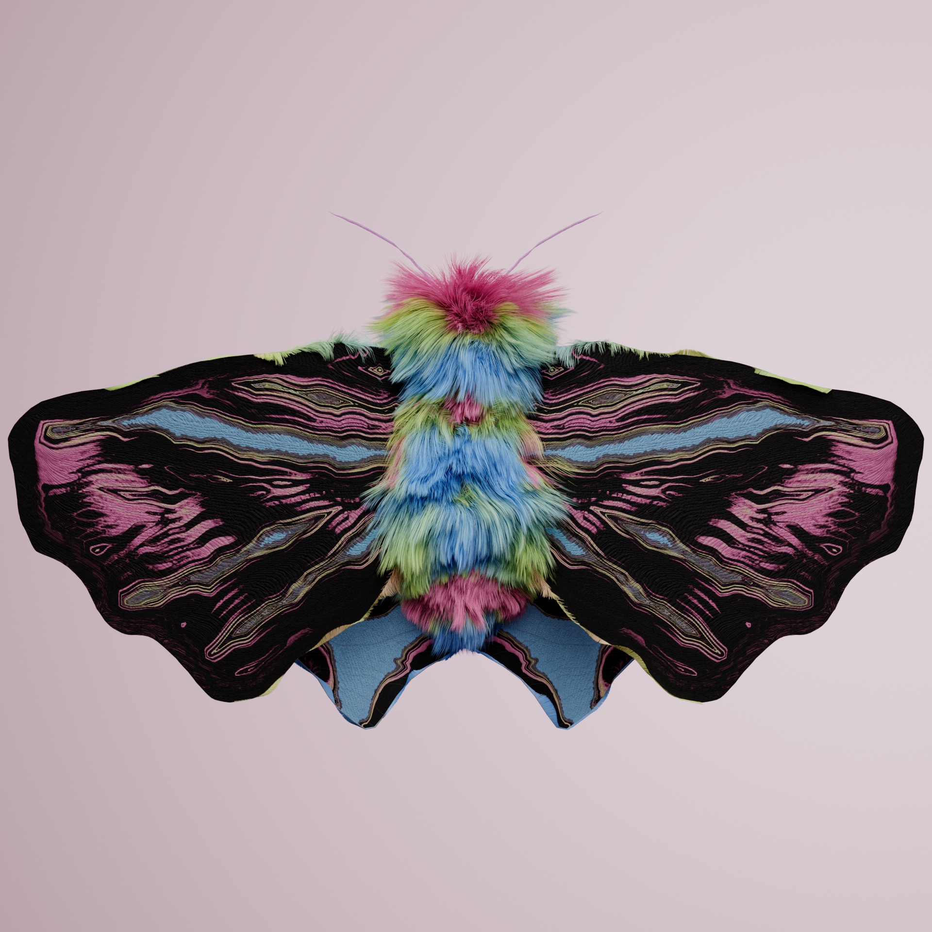 Lepidopteravivida alpiceps