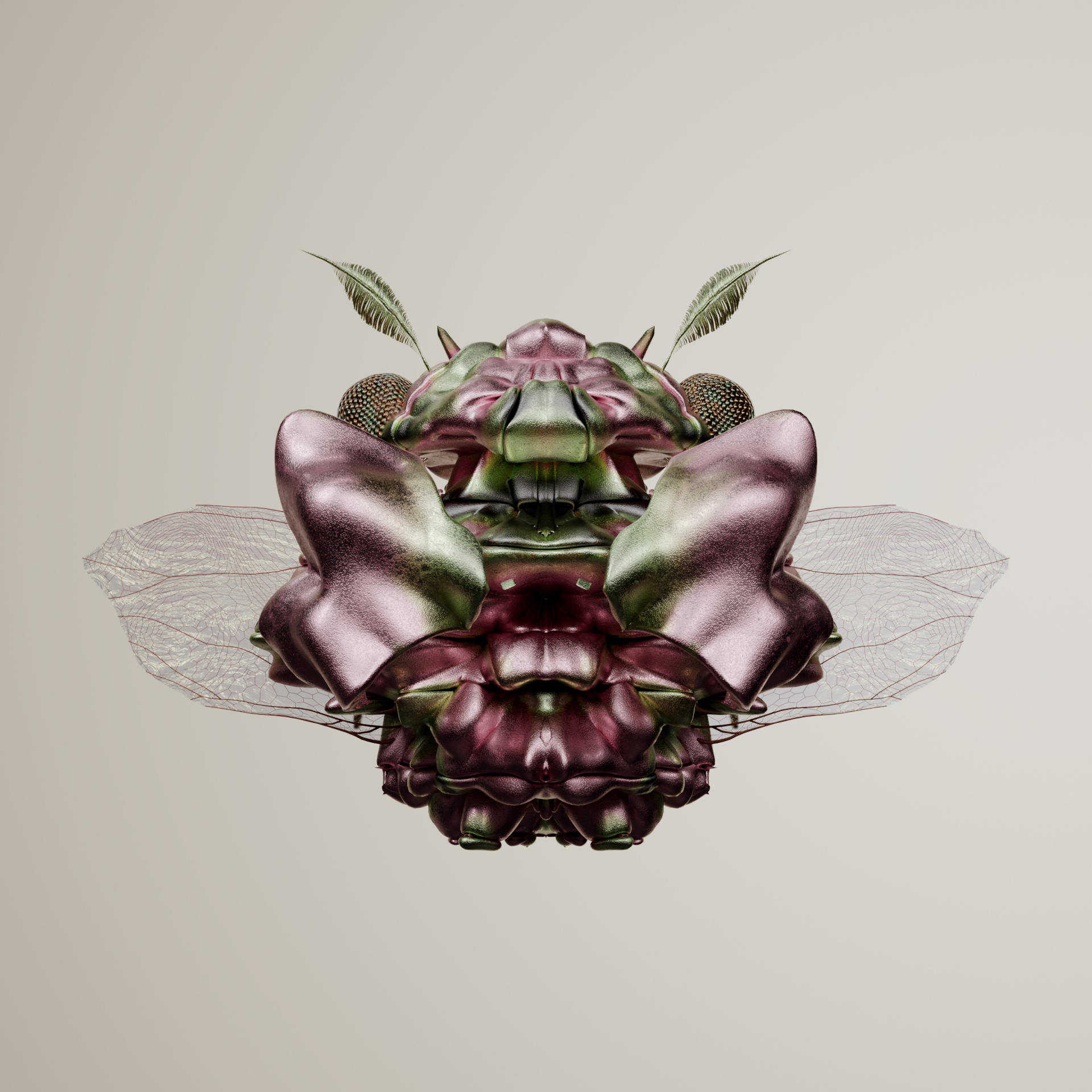 Coleopteracerritulus iguanaticus