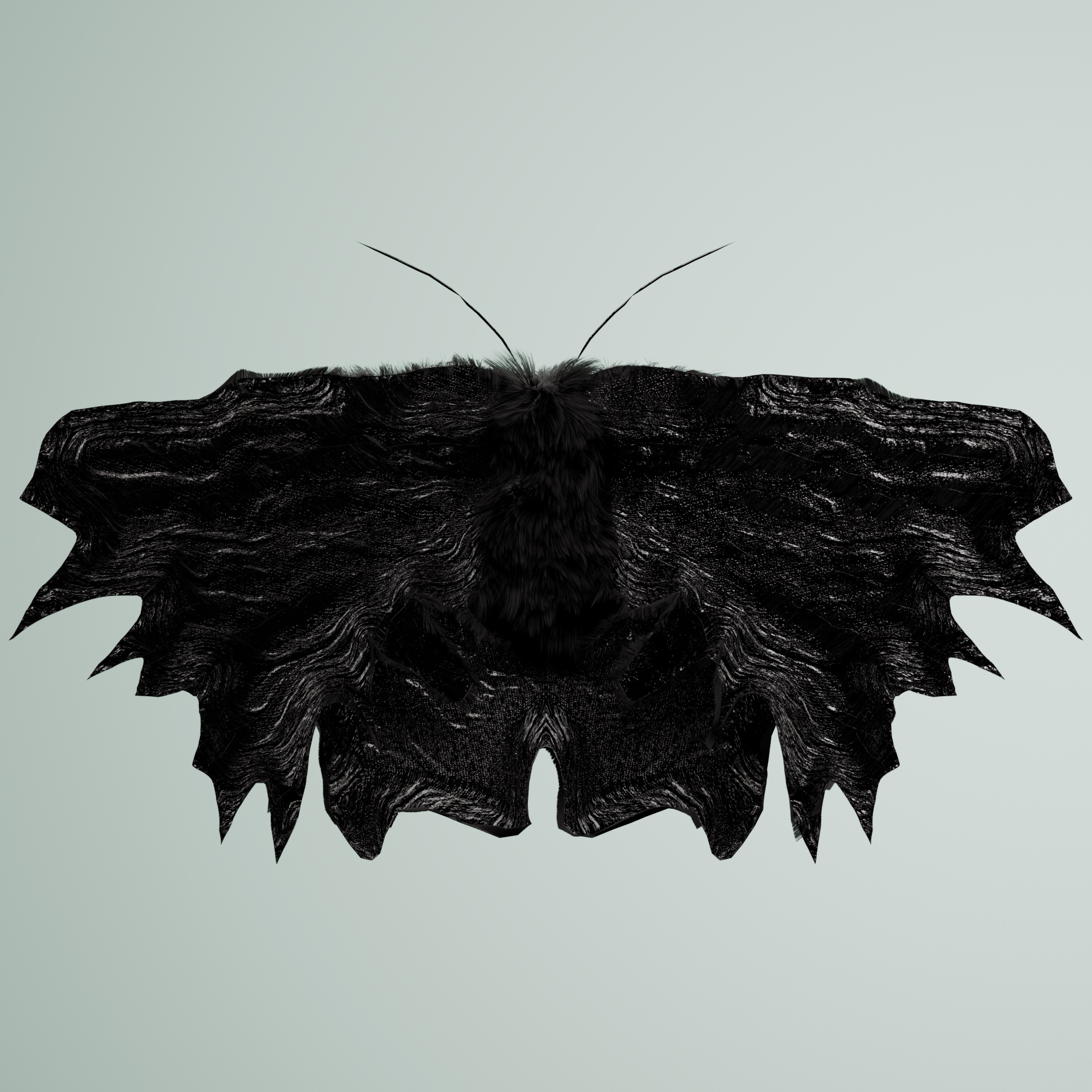 Lepidopteravivida nghetinhata