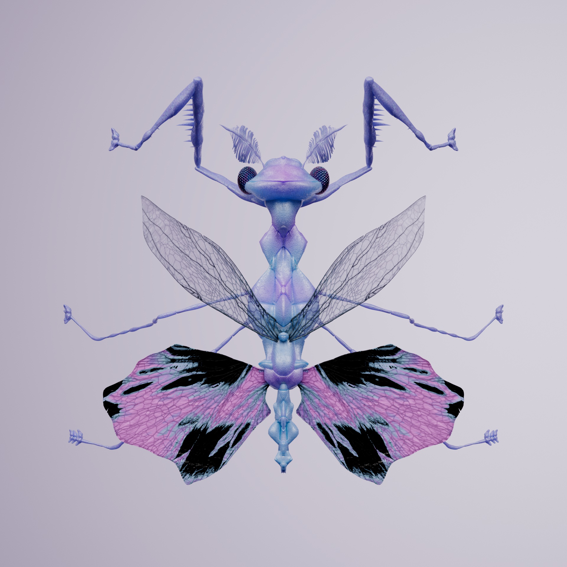 Mantodeacerritulus lagotrallus