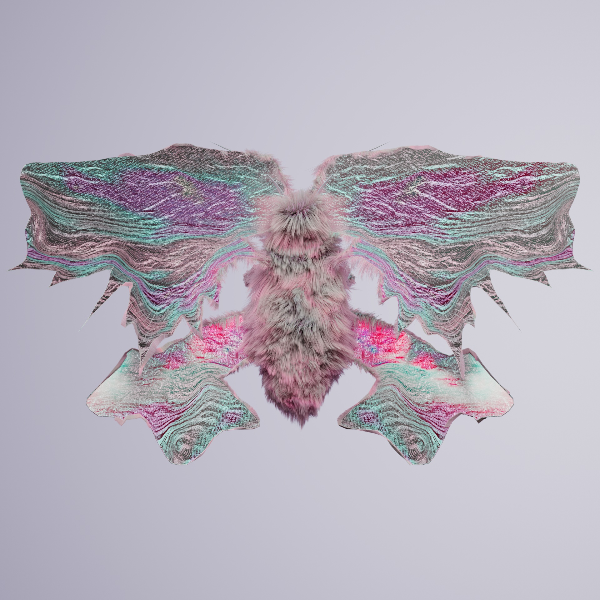 Lepidopteravivida dugiscus