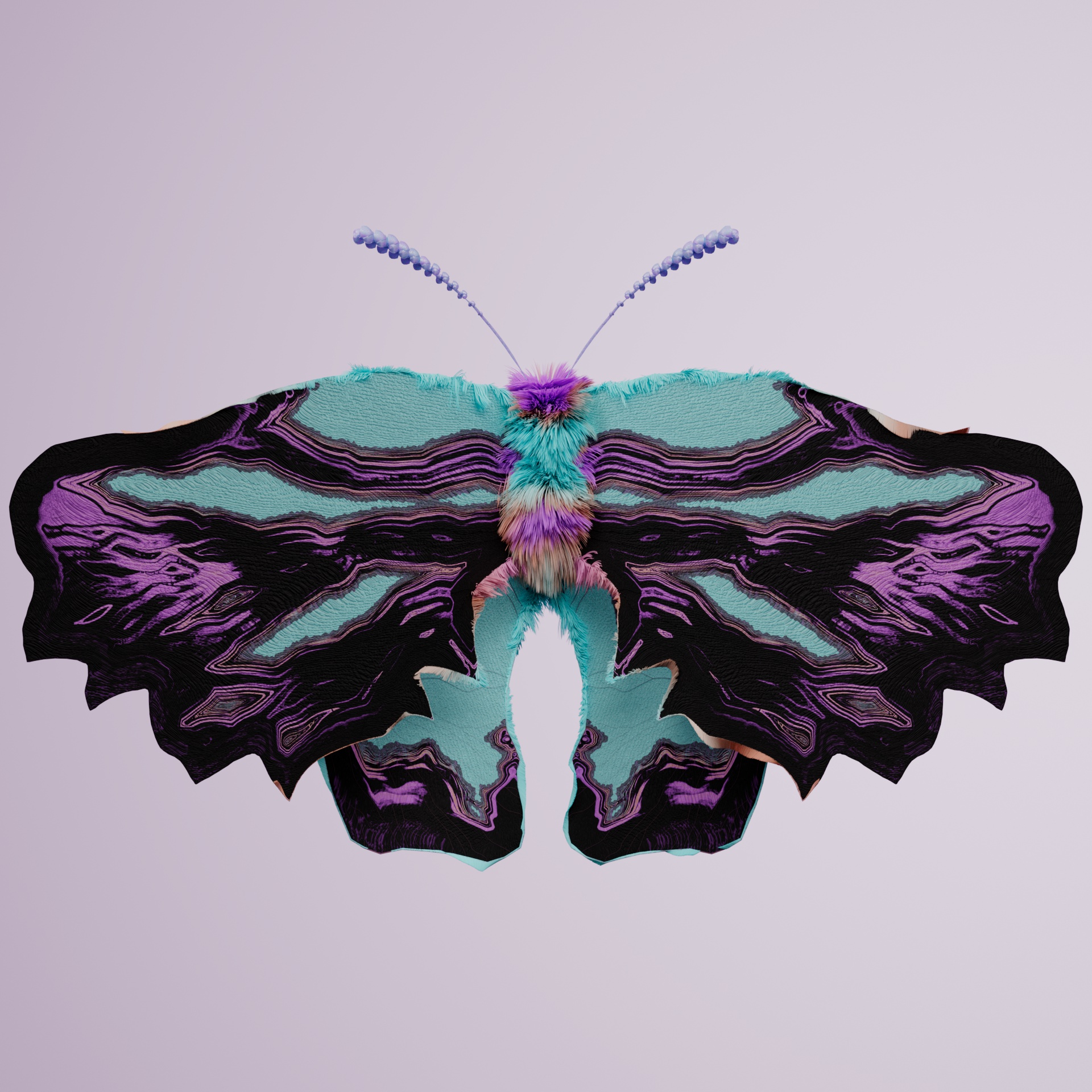 Lepidopteravivida temporyi