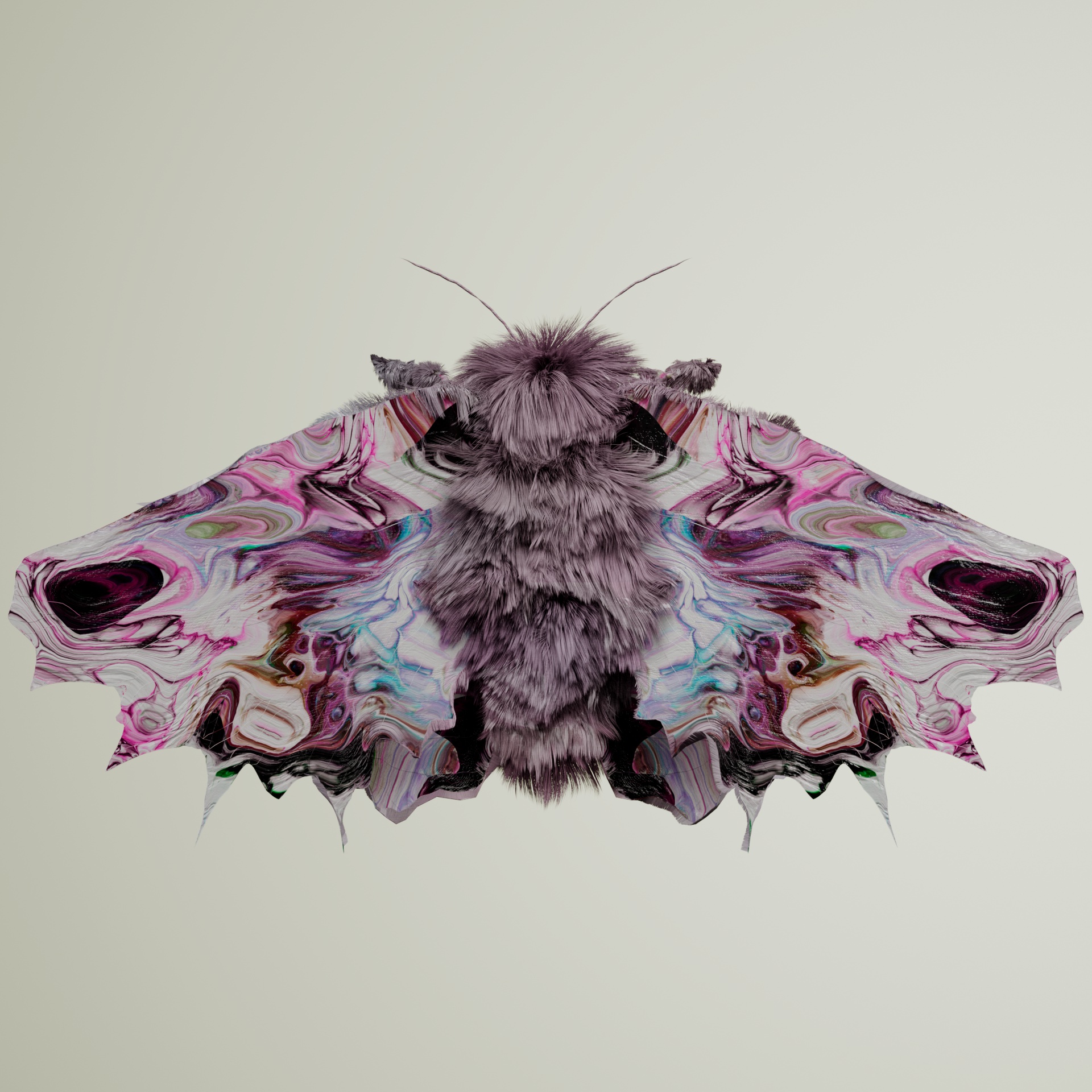 Lepidopteravivida pictaster