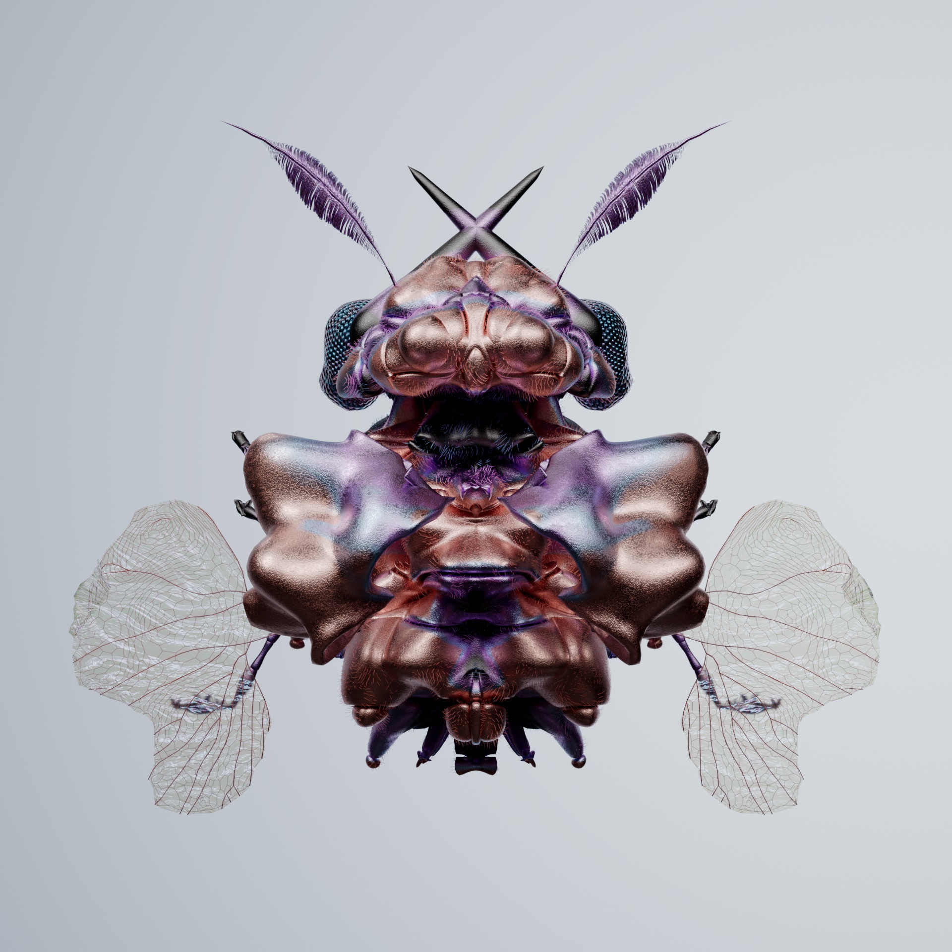 Coleopteraatina aratus