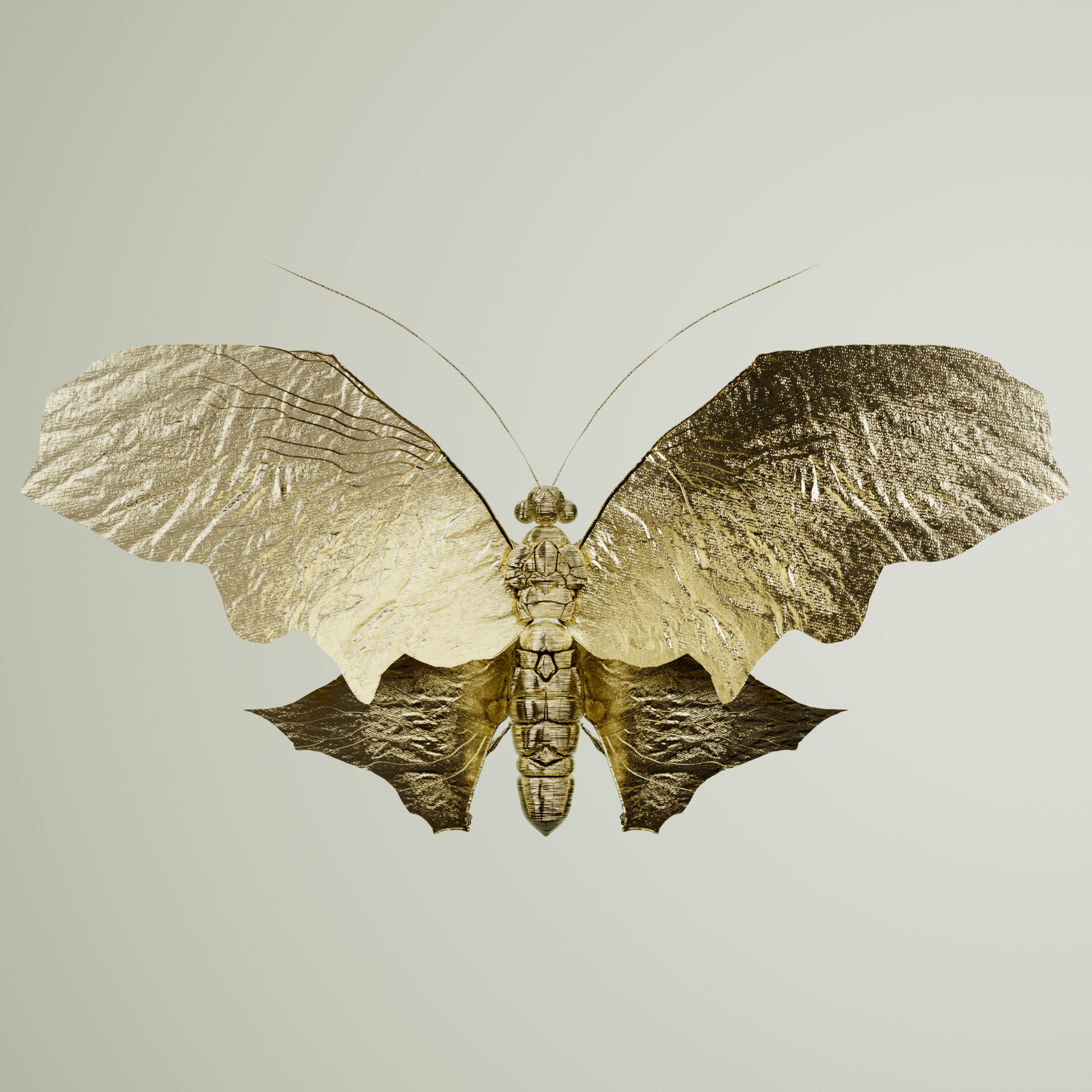 Rhopaloceraproceritas fascundus