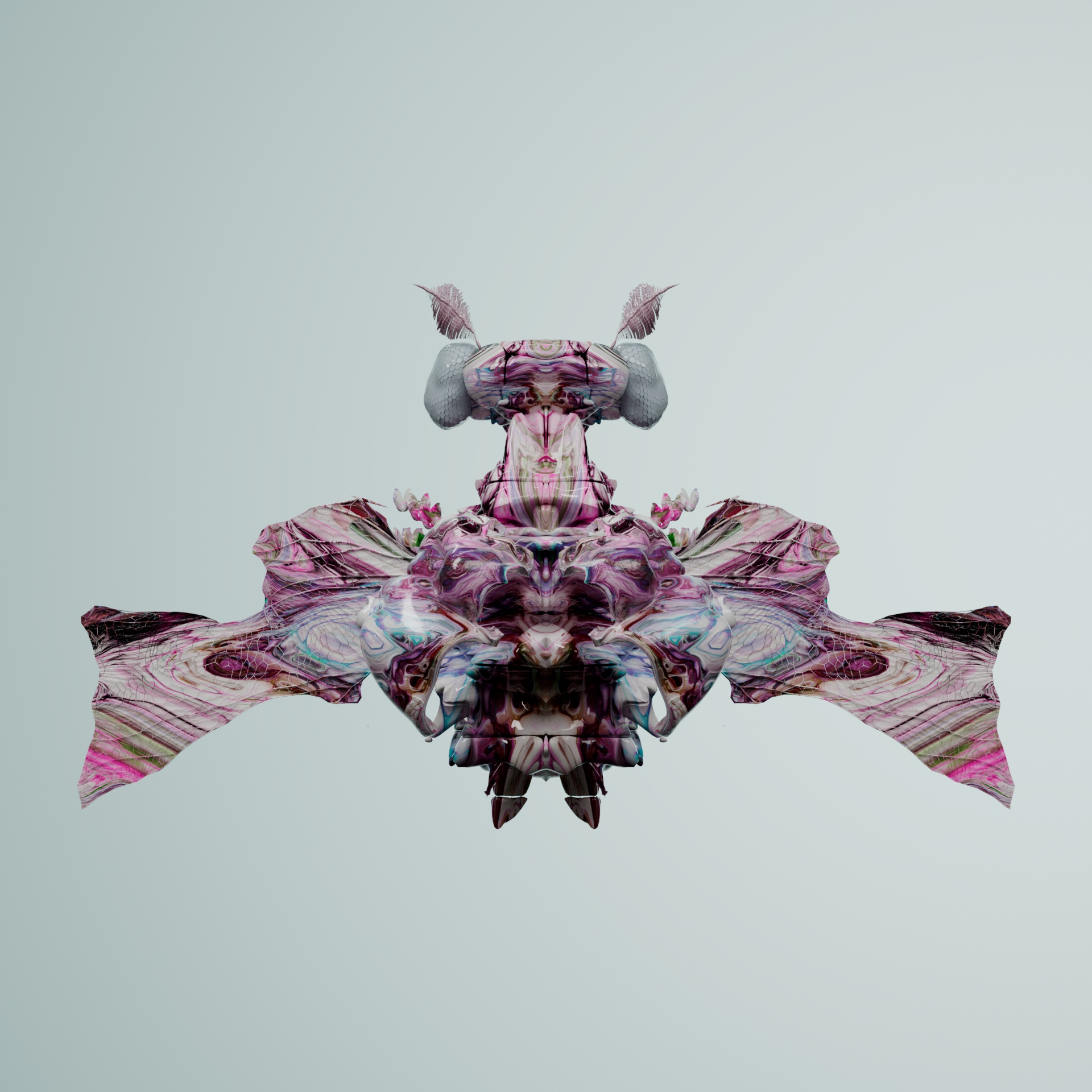 Coleopteravivida lagotreensis