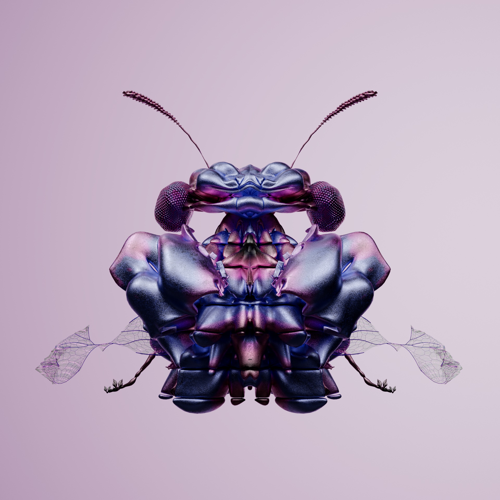 Coleopteracerritulus geoffrarinia