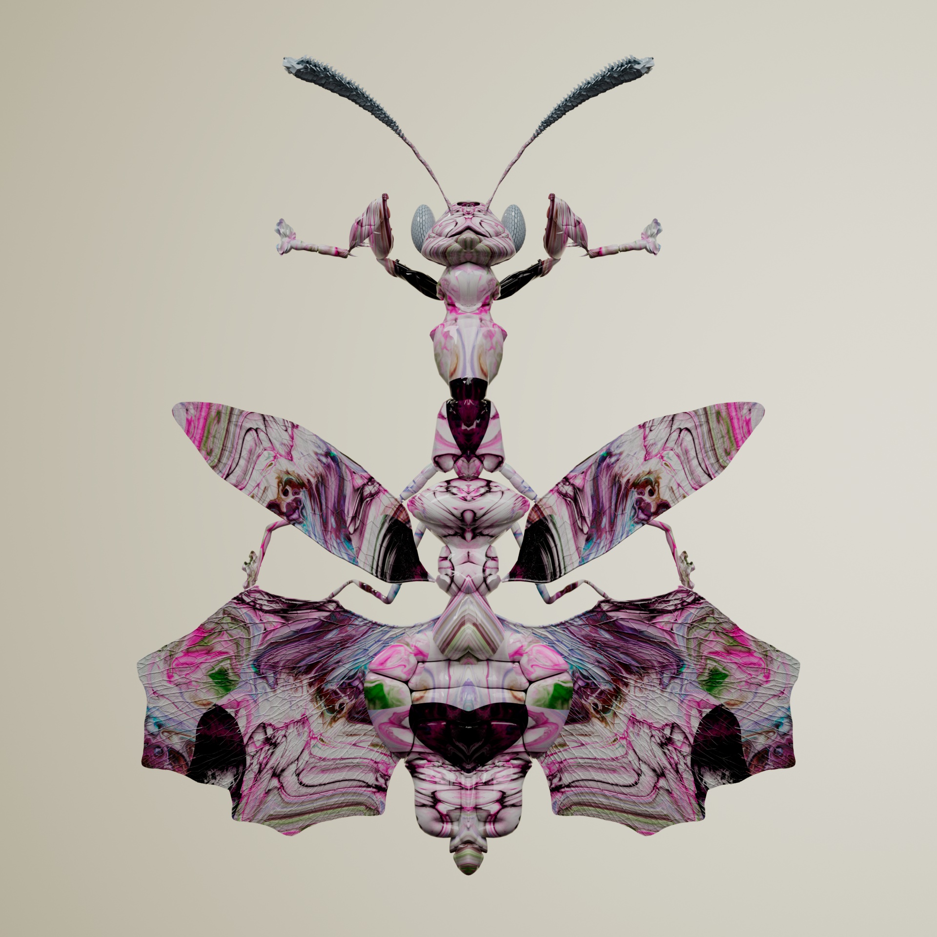 Mantodeavivida afraeus