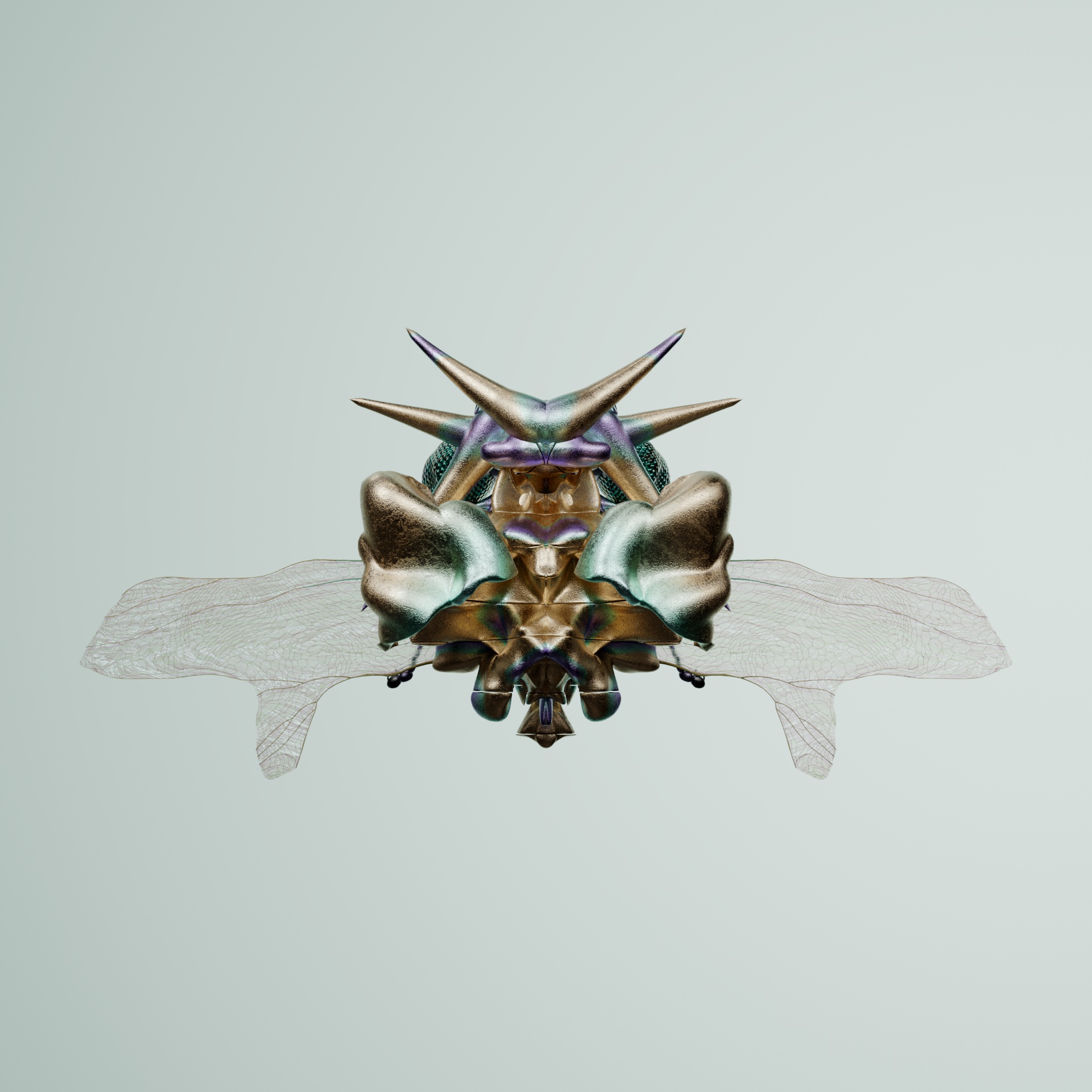 Coleopteraialis alpiceps