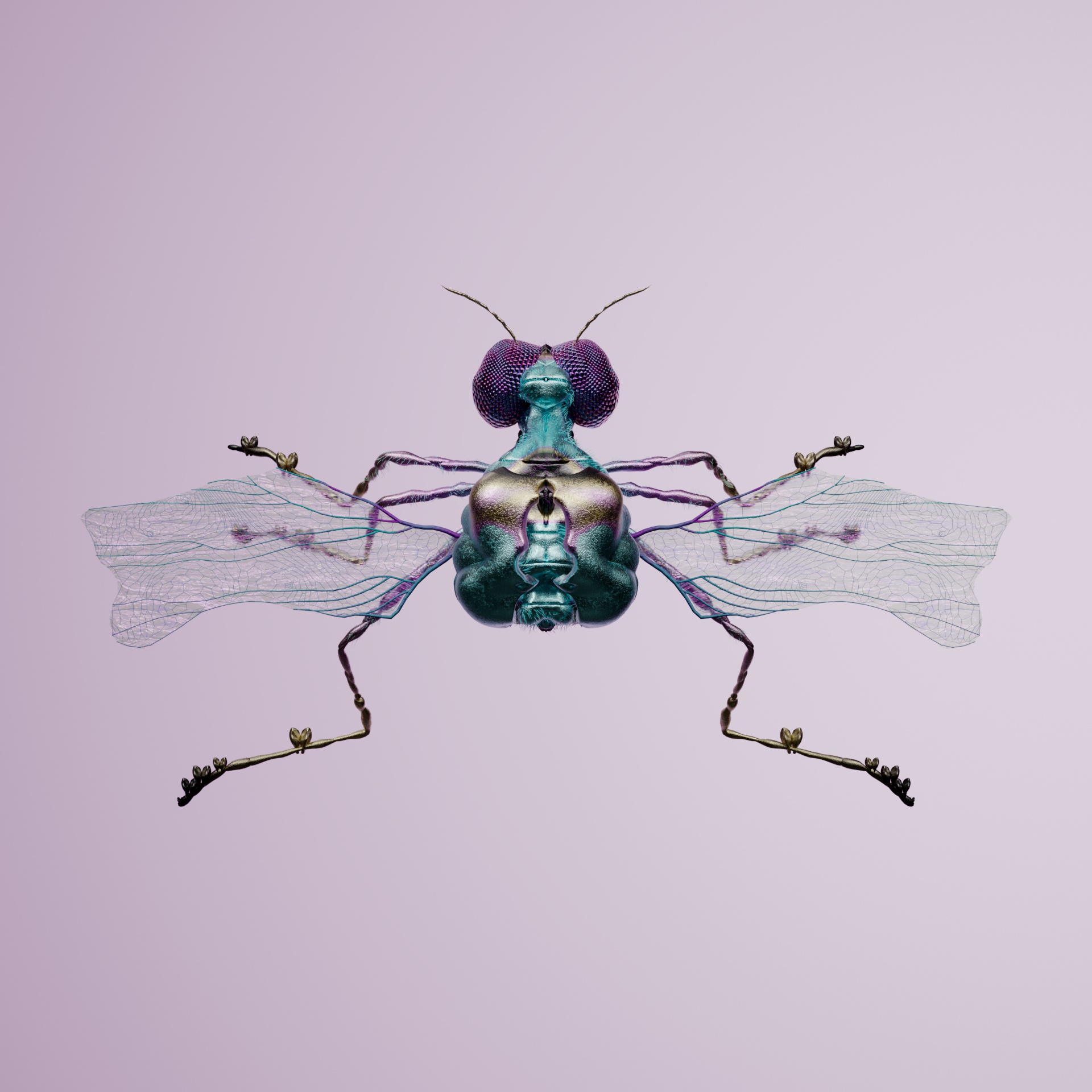 Coleopteraanthidae jubuinus