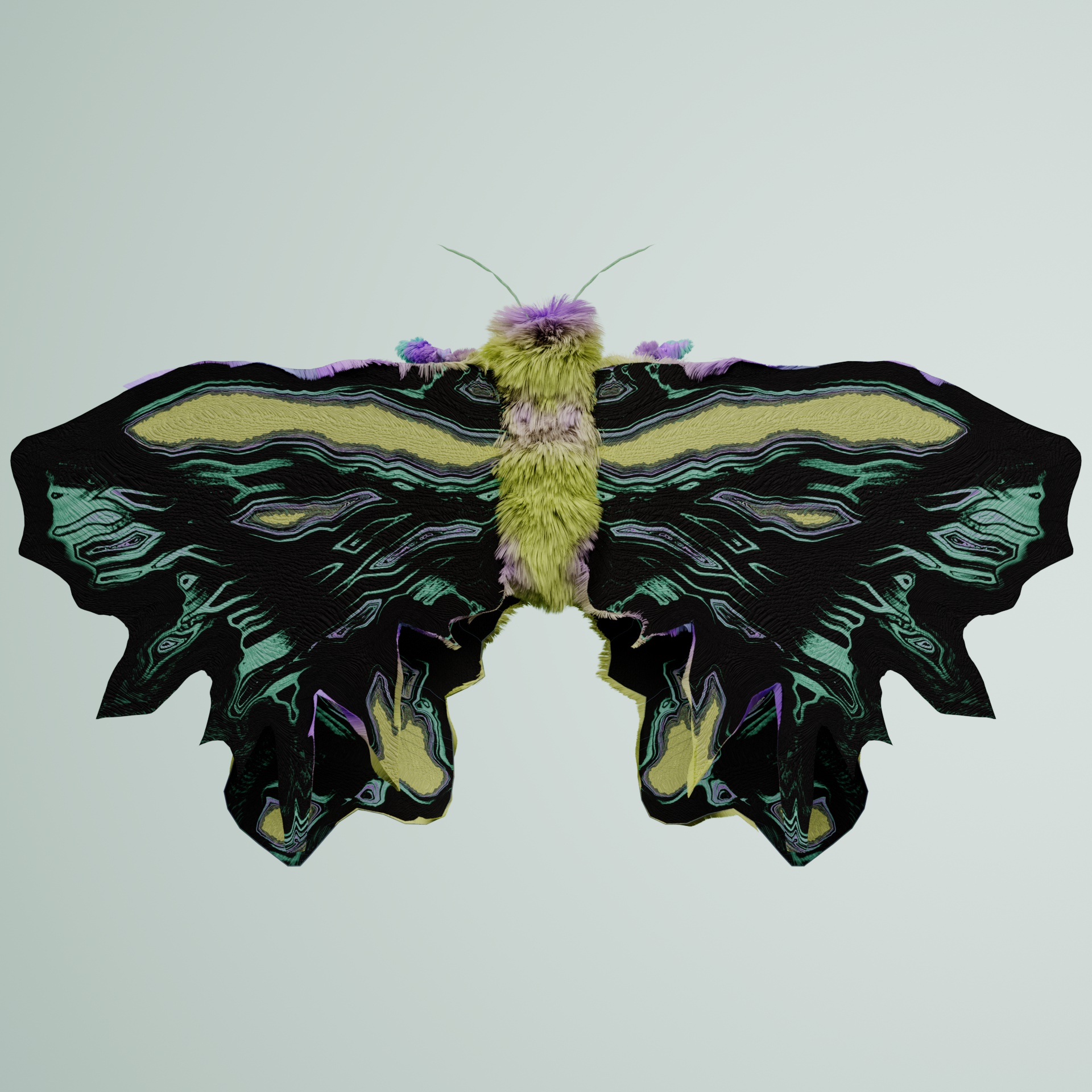 Lepidopteraarctos reticodes
