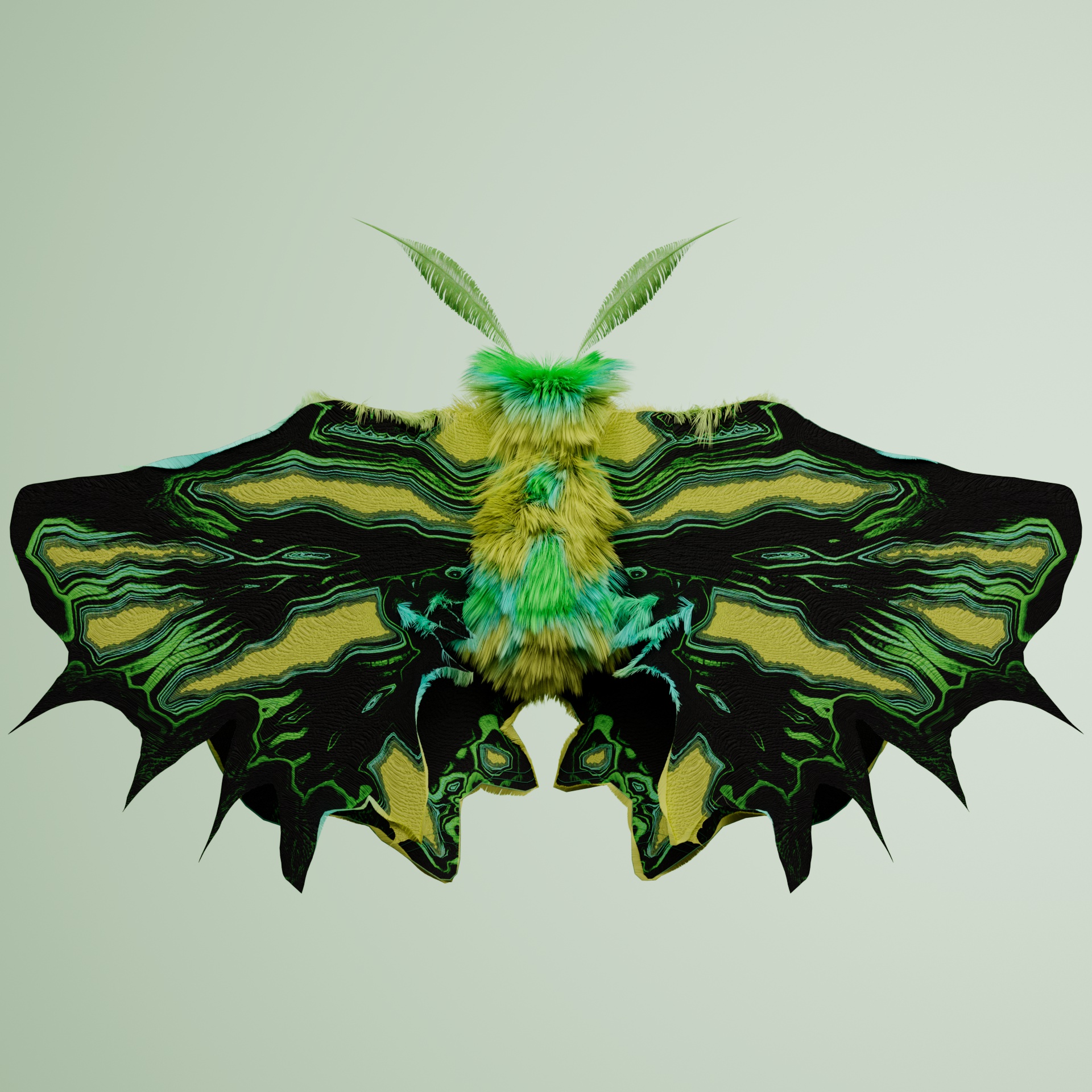 Lepidopteracerritulus nghetinhiatum