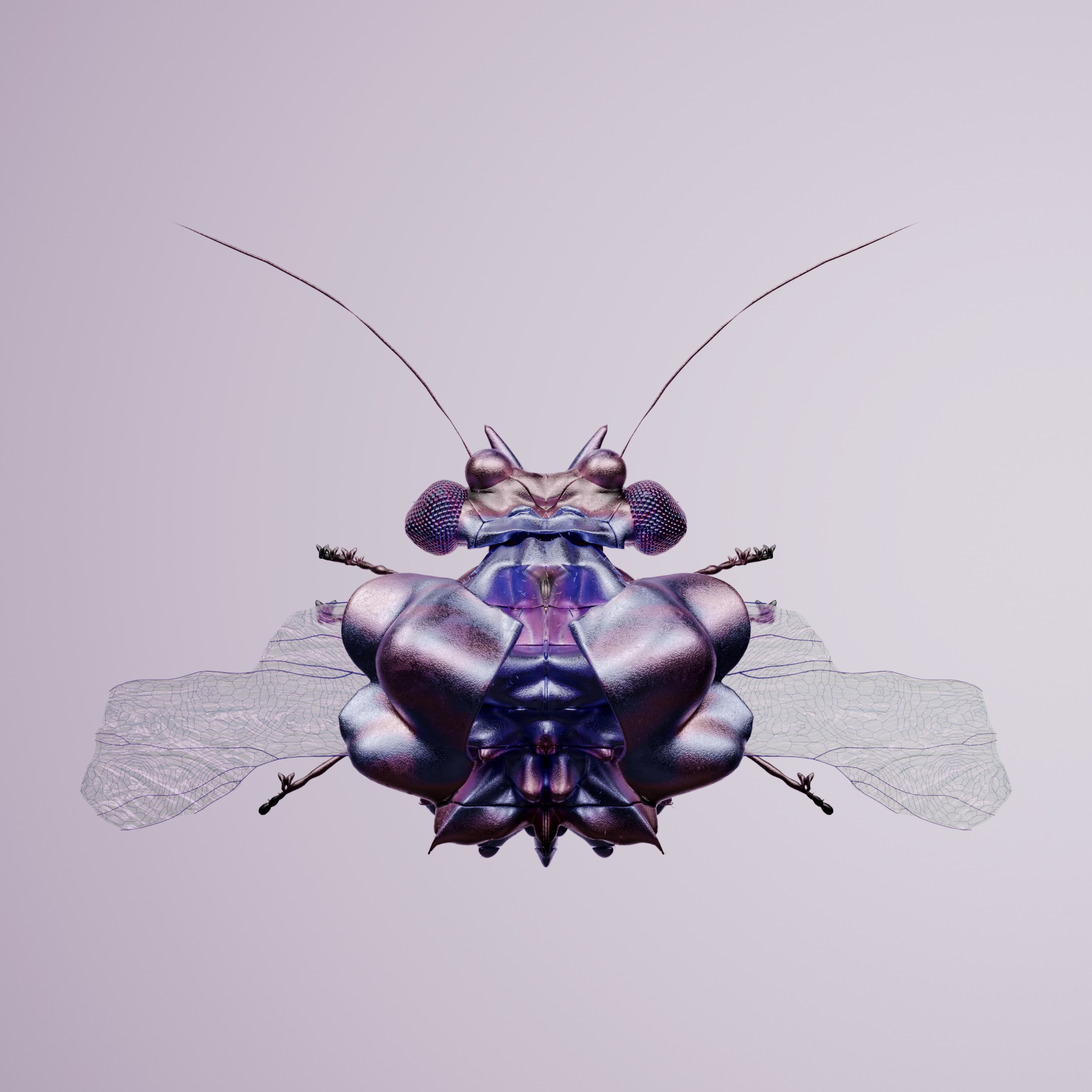 Coleopteraastos atrues