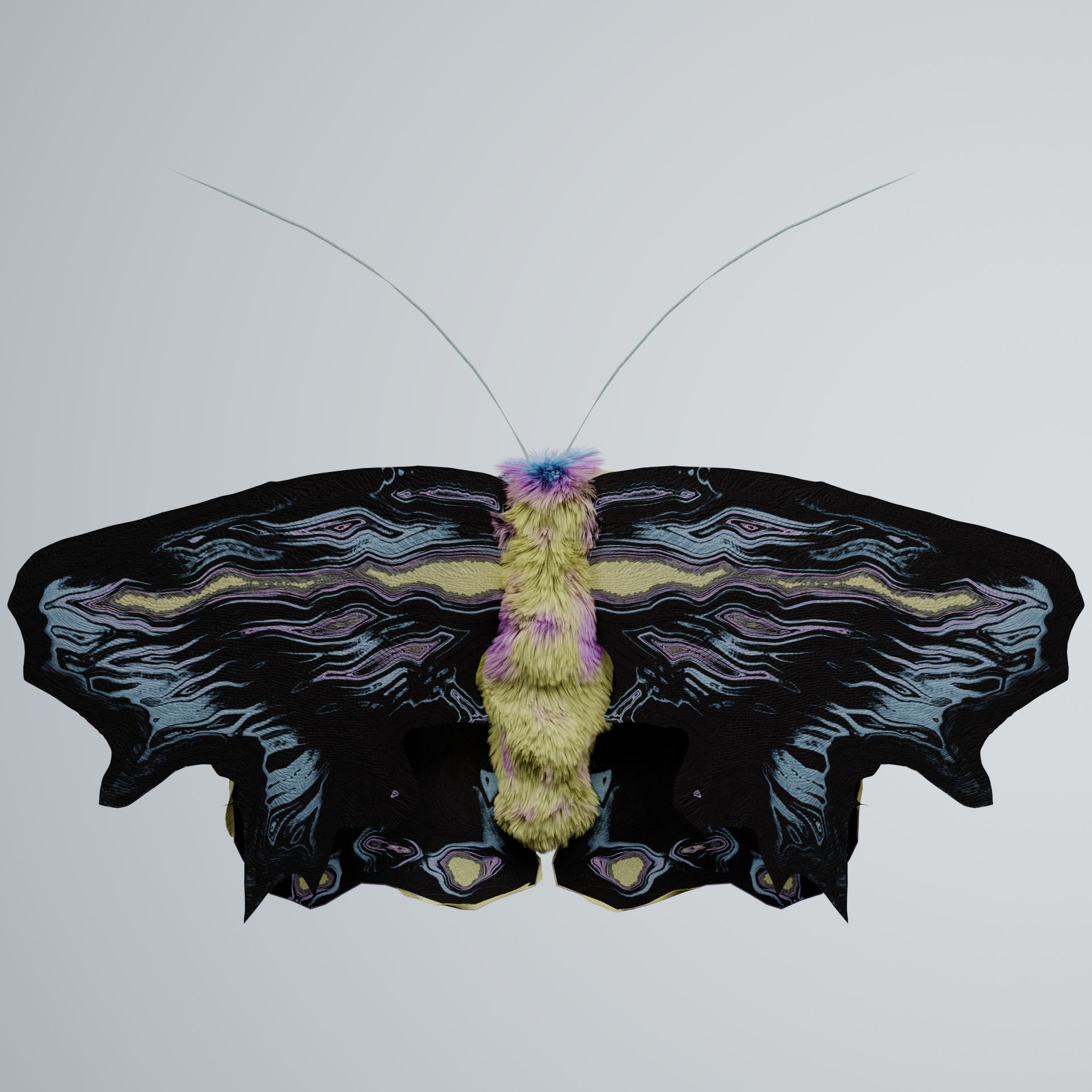 Lepidopteraproceritas picinum