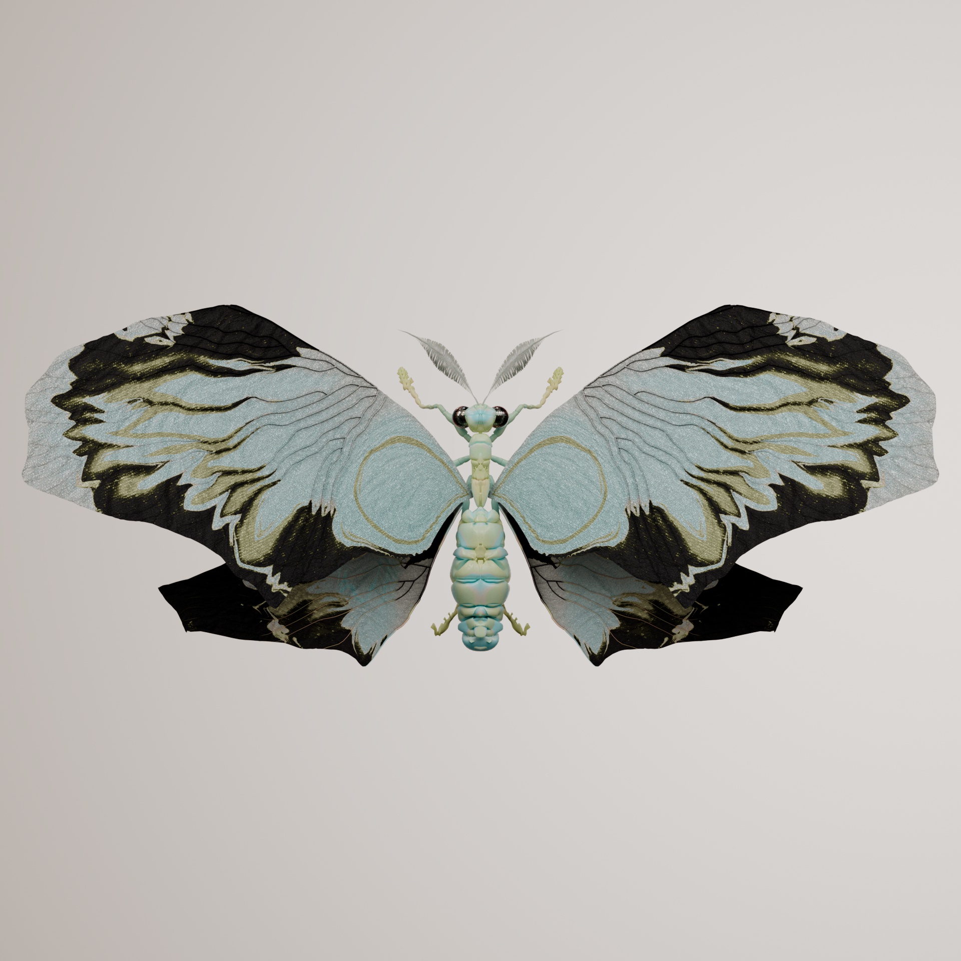 Rhopaloceraamalis hermis