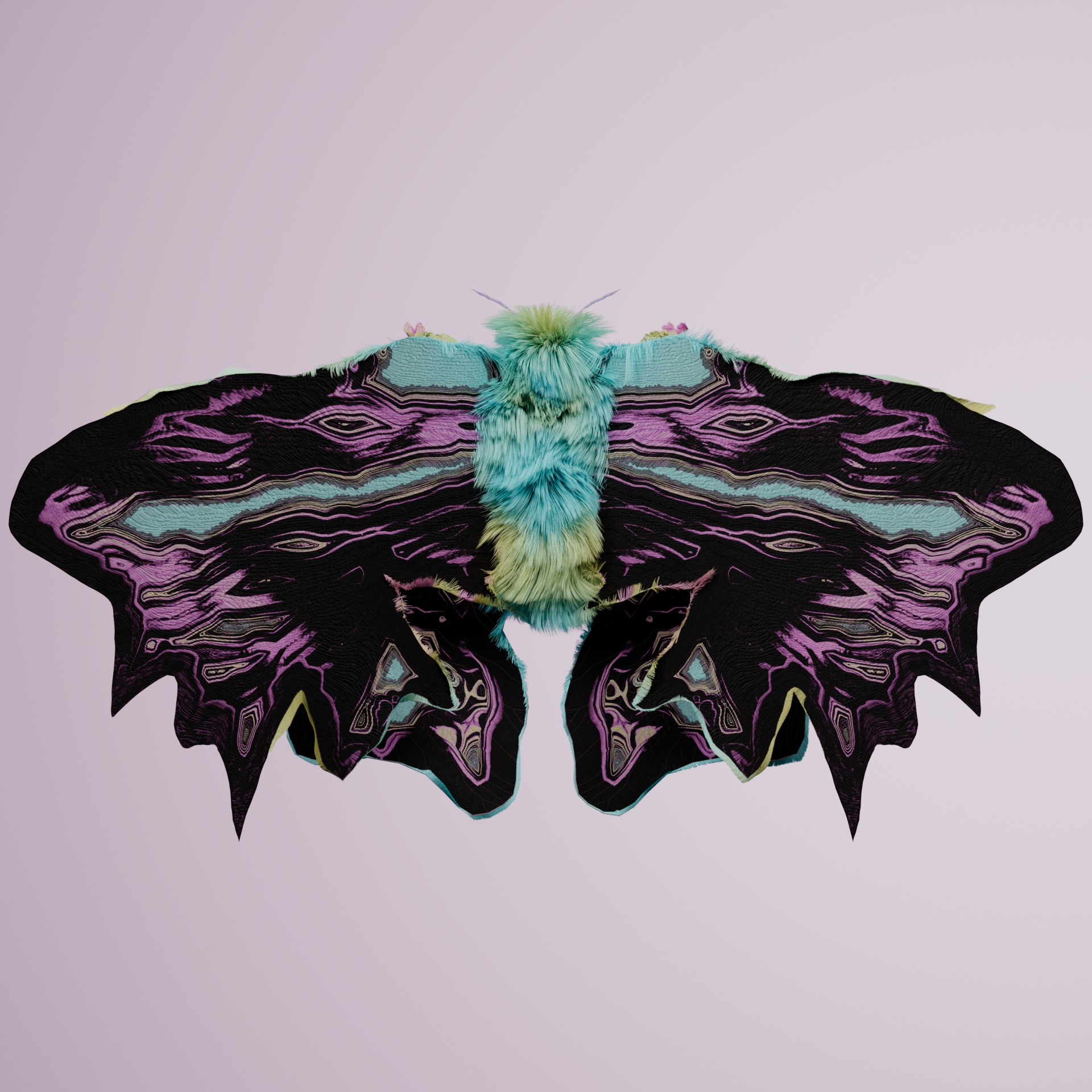 Lepidopteraopsis pictilus
