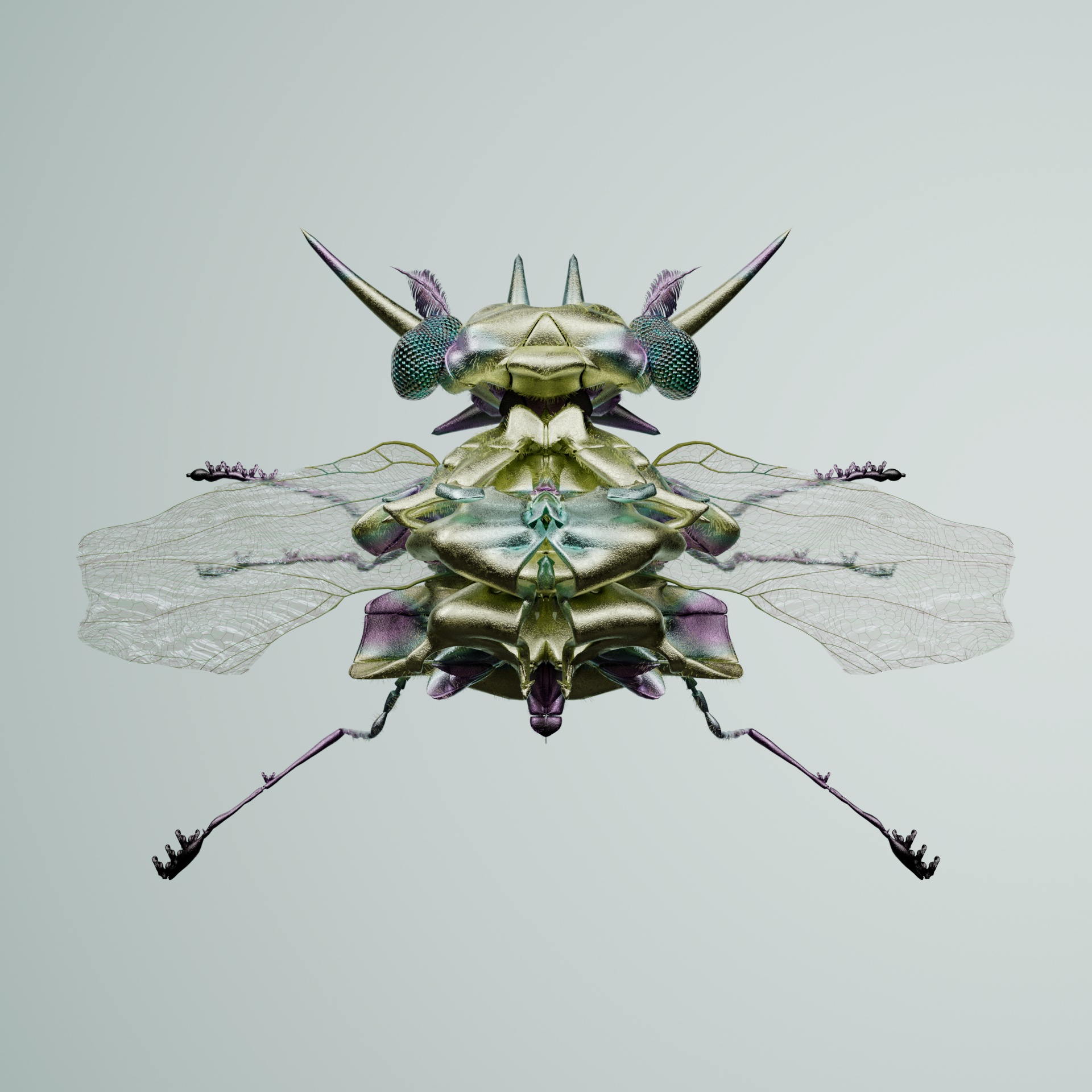 Coleopteracerritulus obscurerus